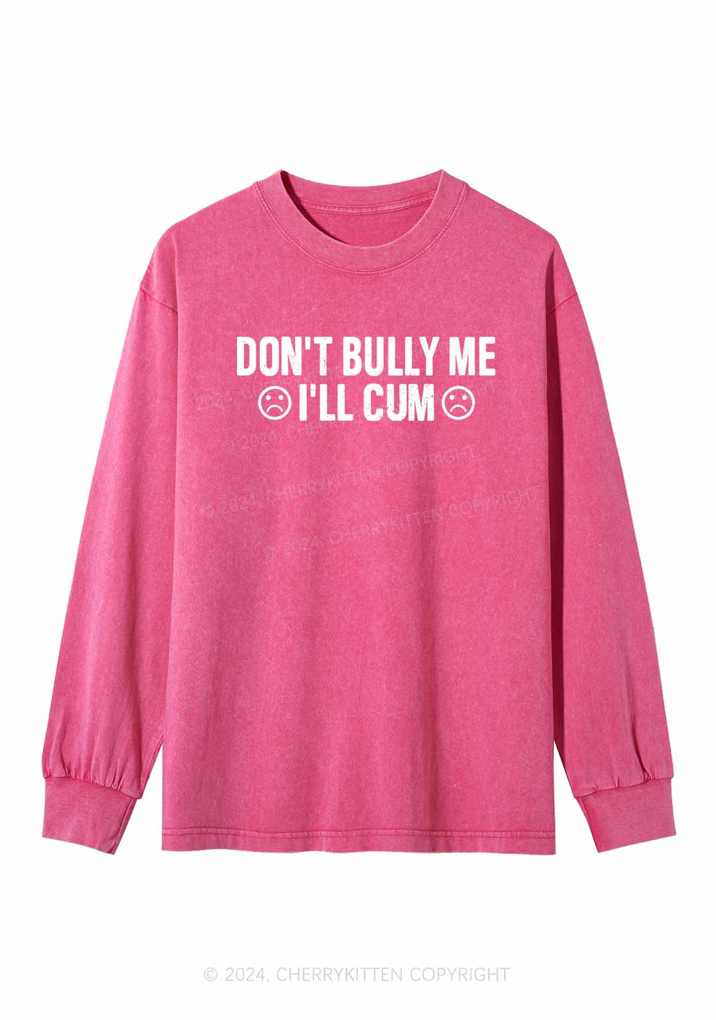 Don't Bully Me Y2K Washed Long Sleeves Cherrykitten - Image 3