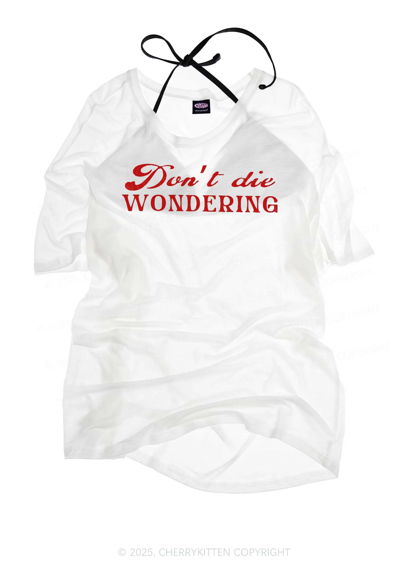 Dont Die Wondering Pride Y2K Sheer Boyfriend Tee Cherrykitten - Image 3