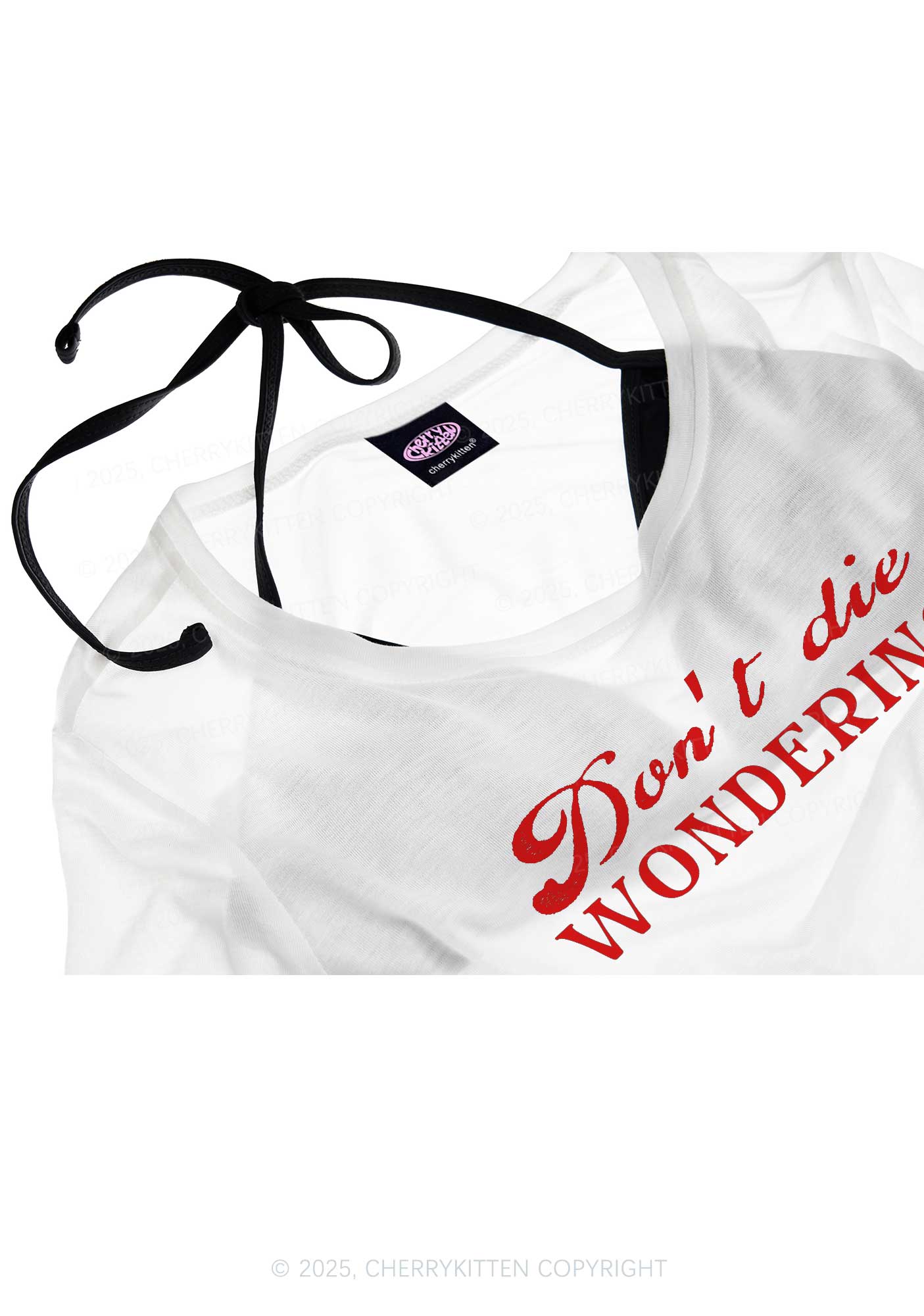 Dont Die Wondering Pride Y2K Sheer Boyfriend Tee Cherrykitten - Image 4