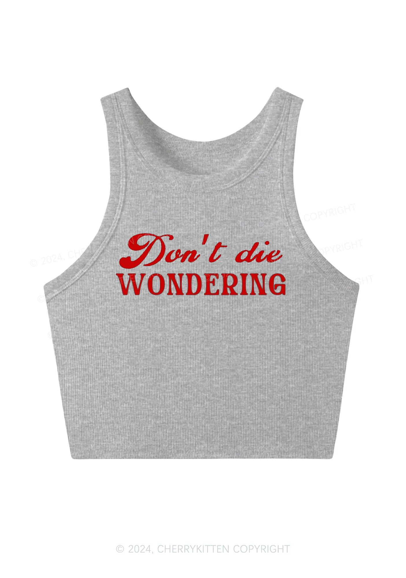 Don't Die Wondering Y2K Crop Tank Top Cherrykitten - Image 3