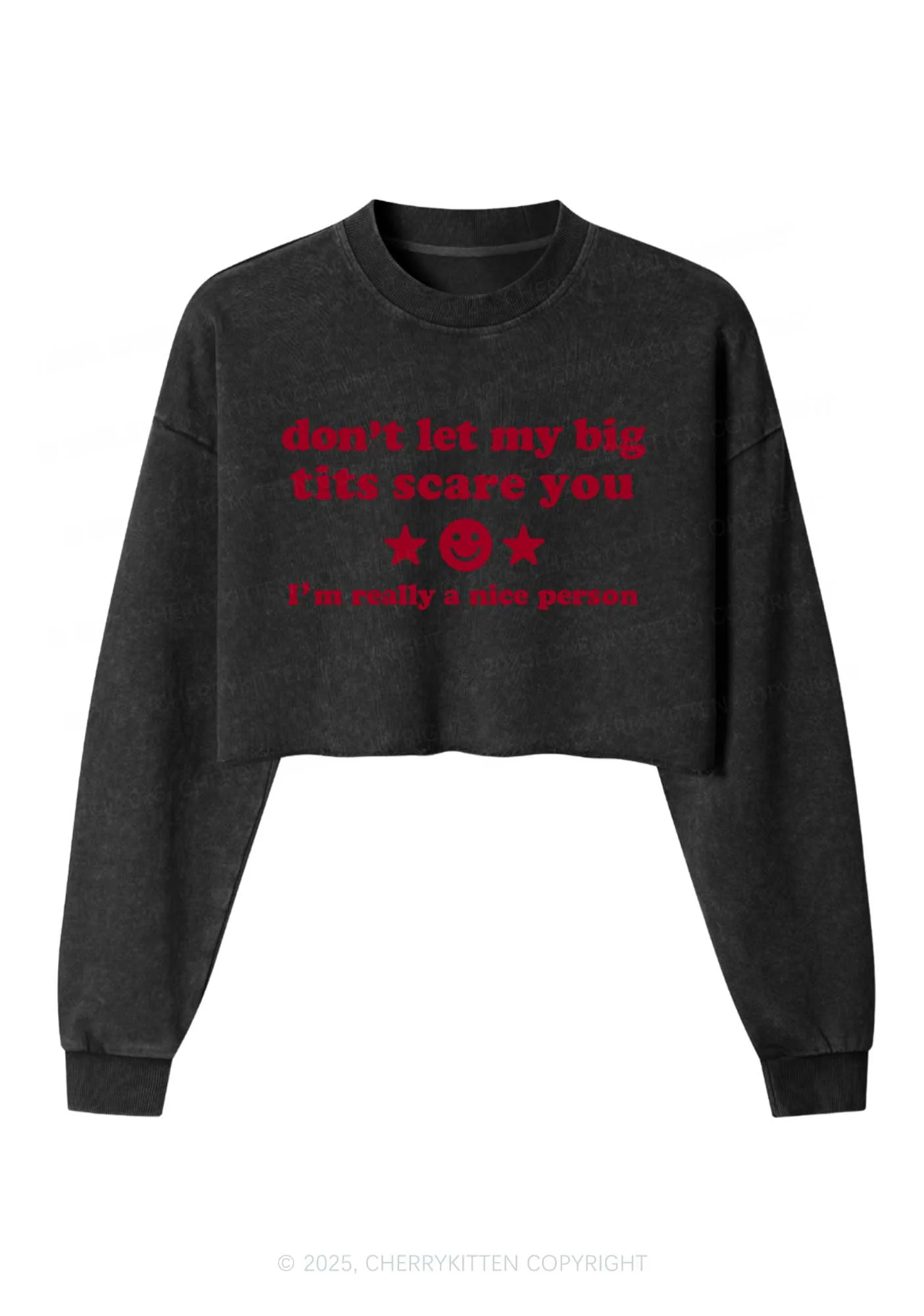 Dont Let My Big Txts Scare You Y2K Crop Washed Sweatshirts Cherrykitten - Image 3