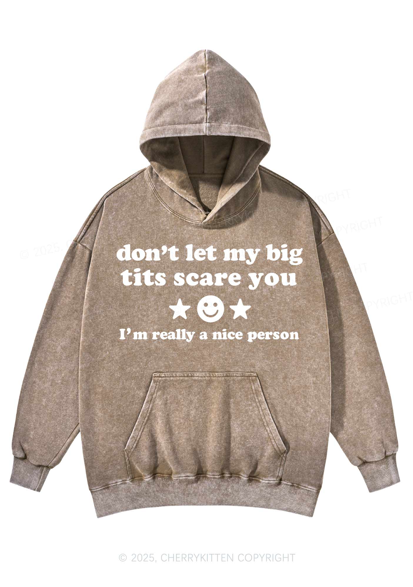 Dont Let My Big Txts Scare You Y2K Washed Hoodie Cherrykitten - Image 5