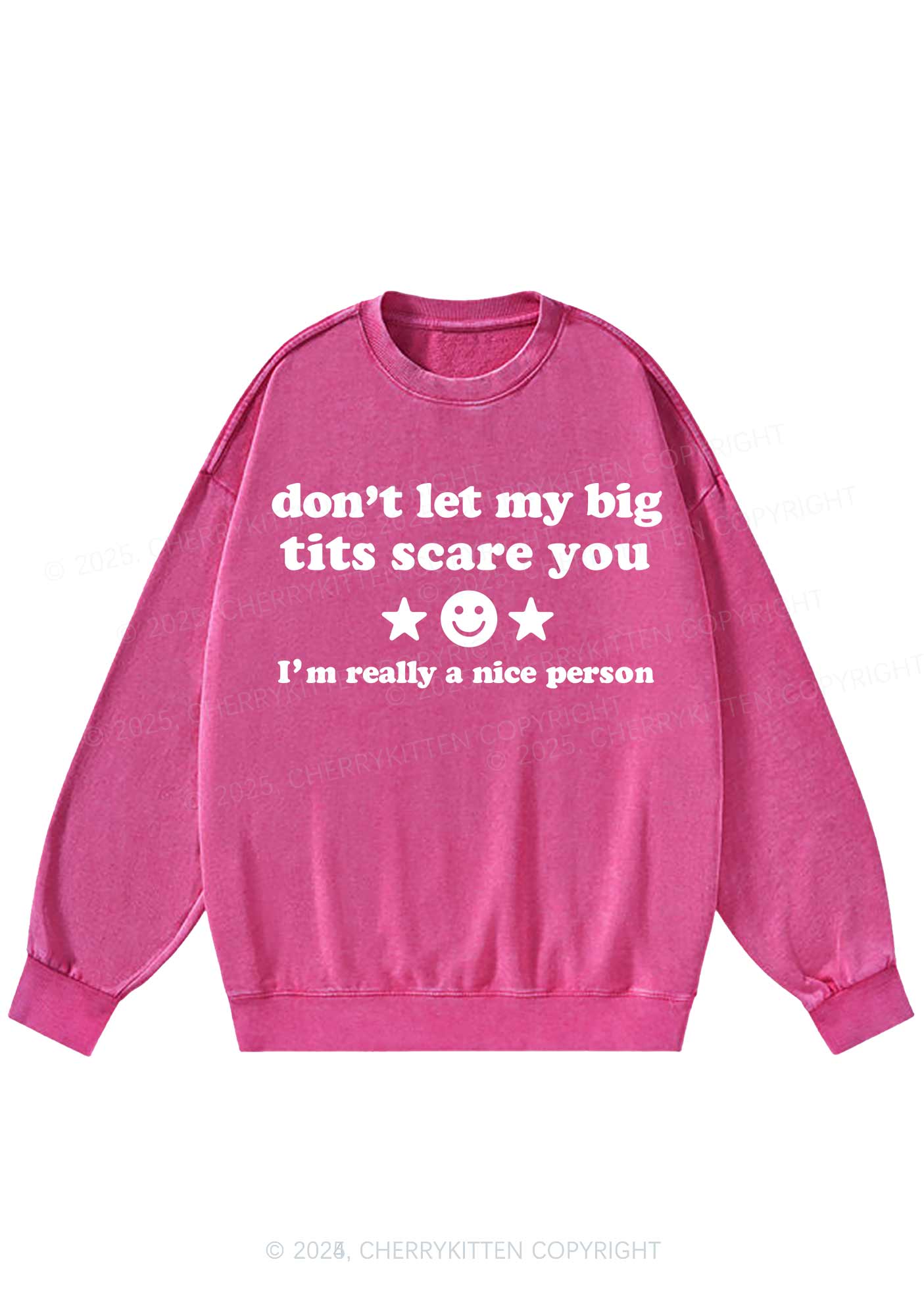 Dont Let My Big Txts Scare You Y2K Washed Sweatshirts Cherrykitten - Image 4