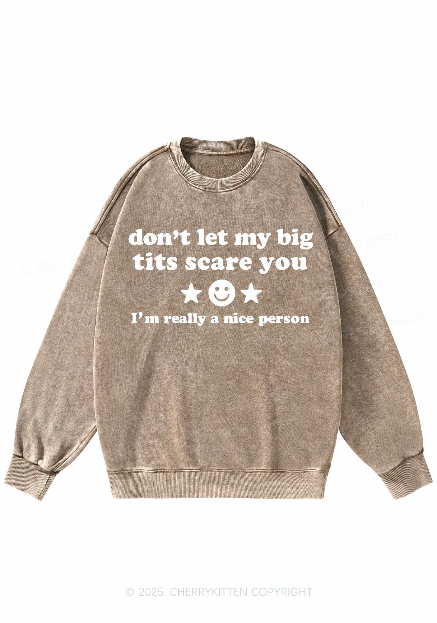 Dont Let My Big Txts Scare You Y2K Washed Sweatshirts Cherrykitten - Image 6
