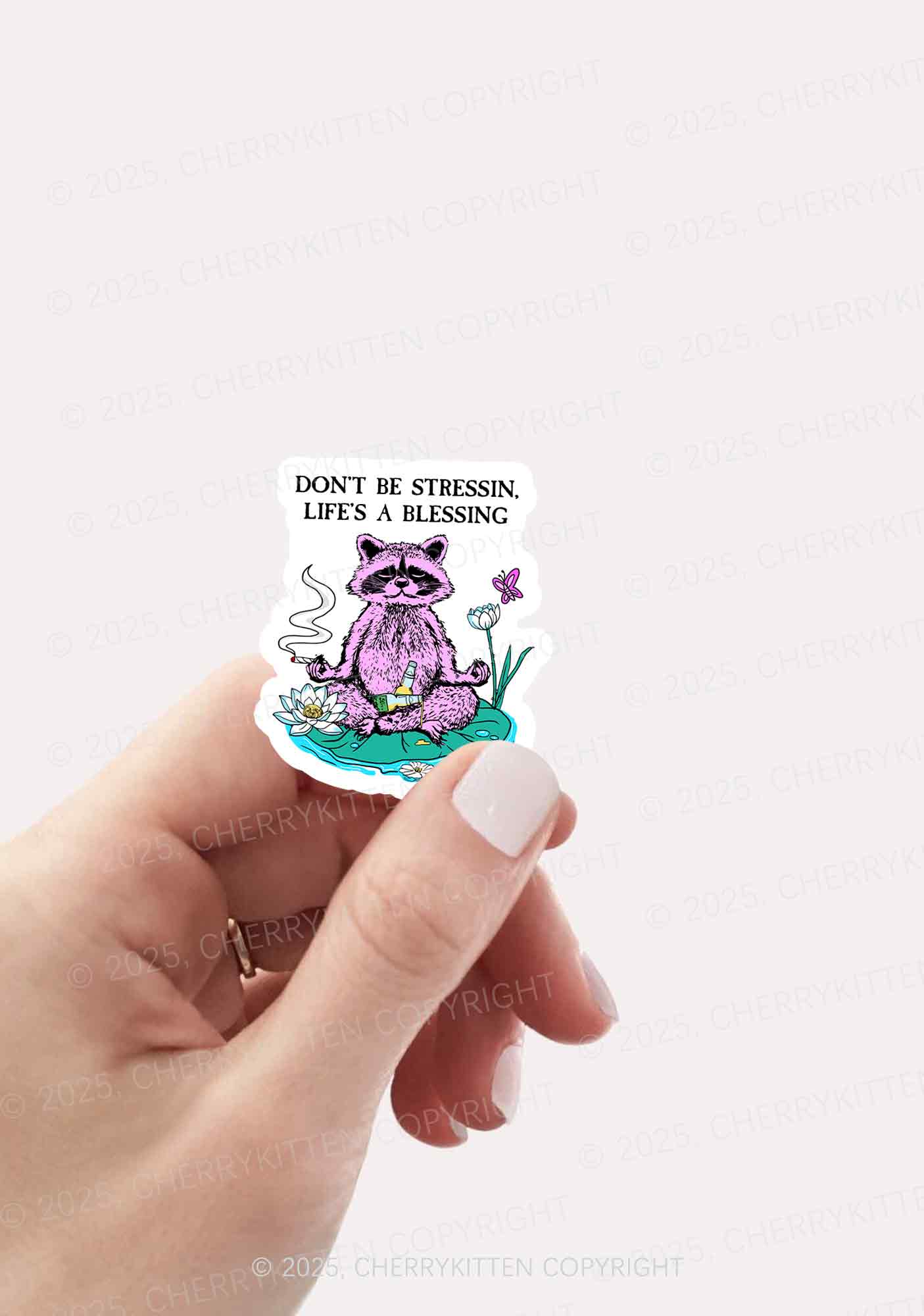 Dont Stress Raccoon 1Pc Y2K Sticker Cherrykitten - Image 2