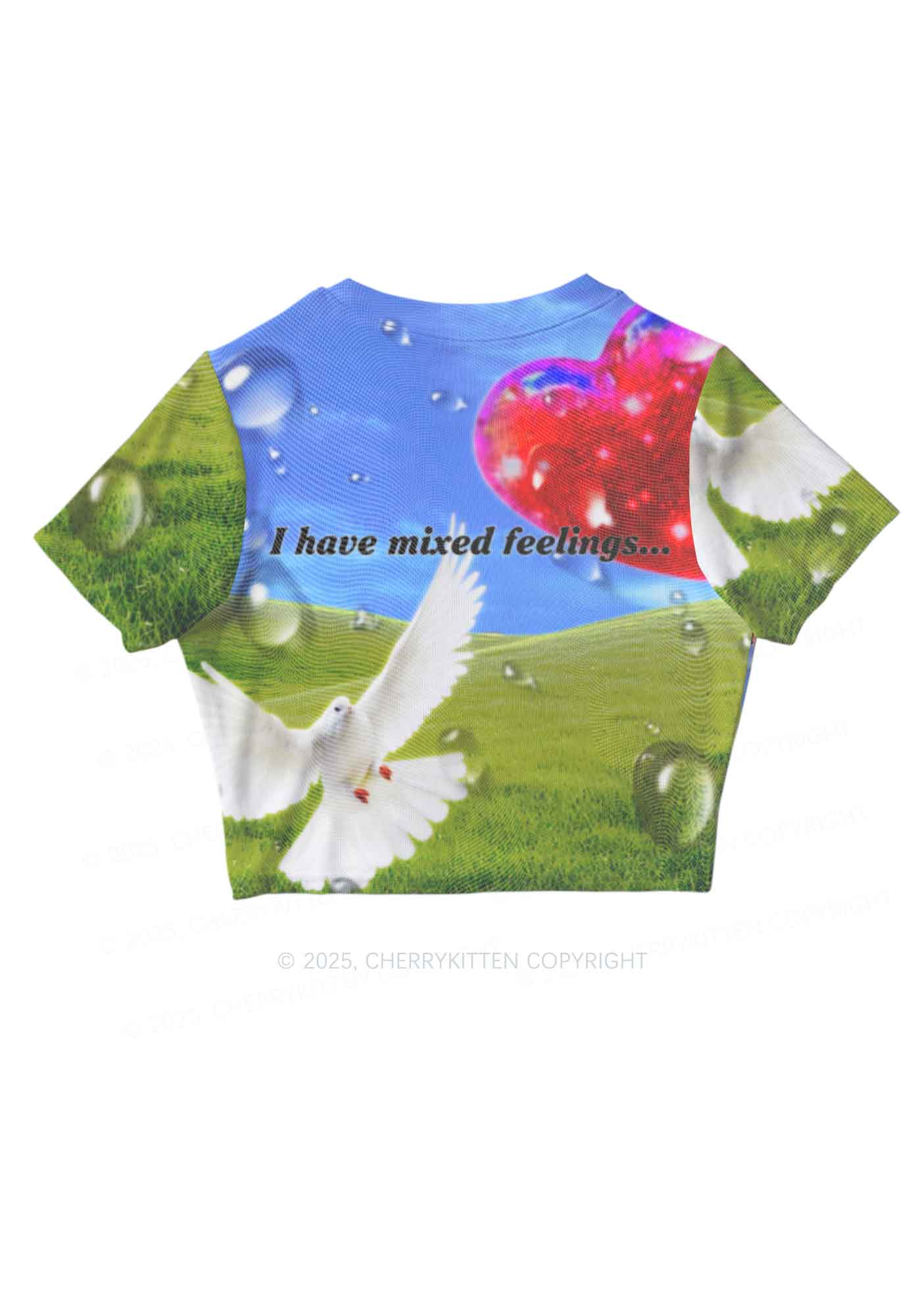 Dove And Mixed Feelings Y2K Mesh Crop Top Cherrykitten - Image 5