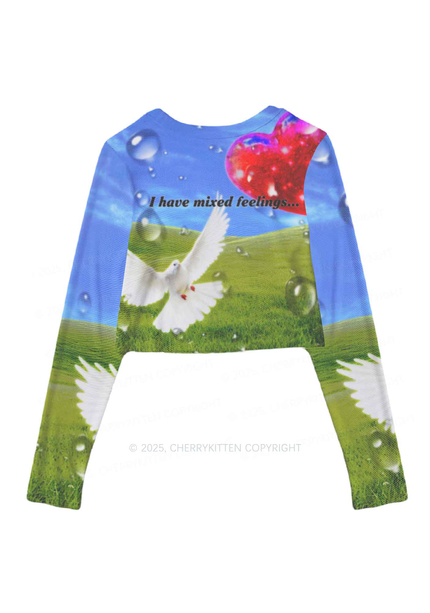 Dove And Mixed Feelings Y2K Mesh Long Sleeve Crop Top Cherrykitten - Image 3