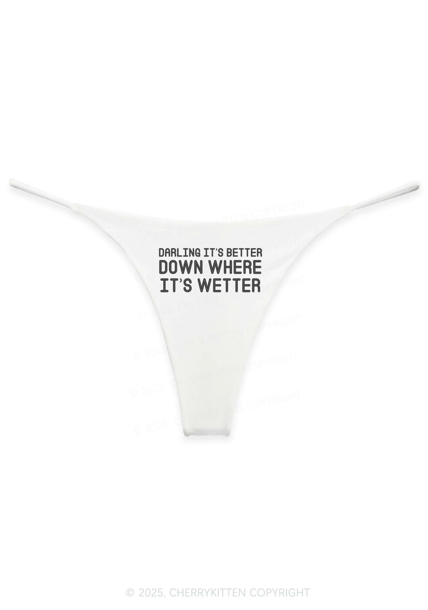 Down Where Its Wetter Y2K Bikini String Thong Cherrykitten - Image 5
