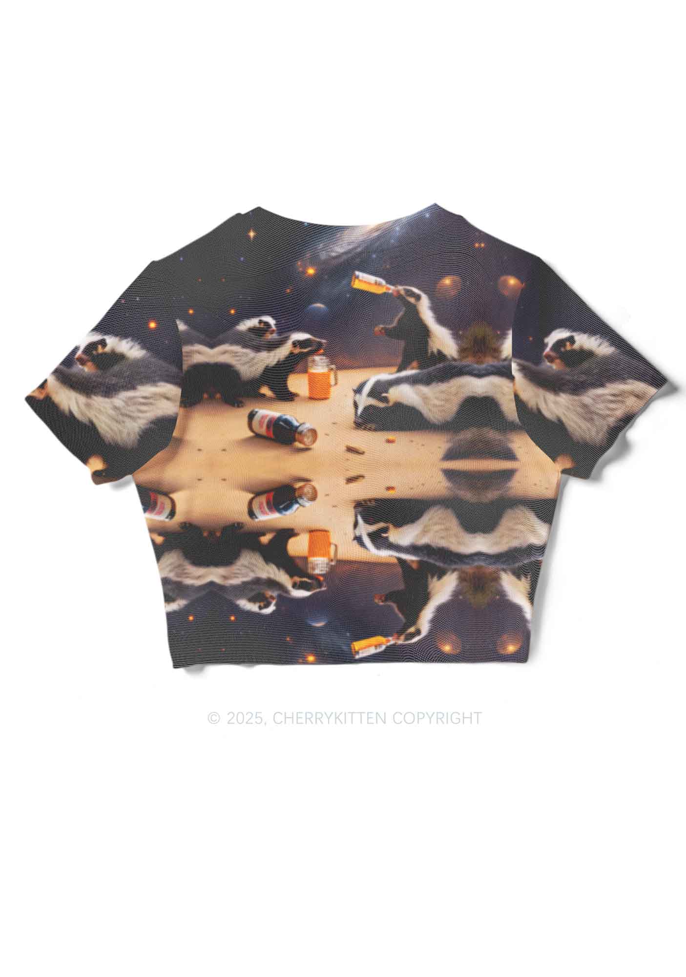Drunk Badger Y2K Mesh Crop Top Cherrykitten - Image 4