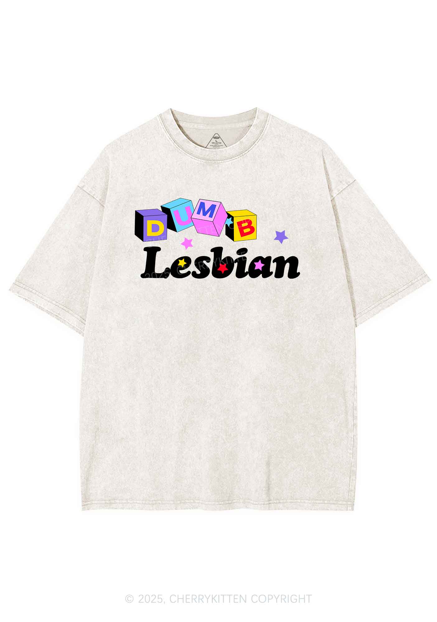 Dumb Lesbian Pride Y2K Shirts Washed Tee Cherrykitten - Image 3