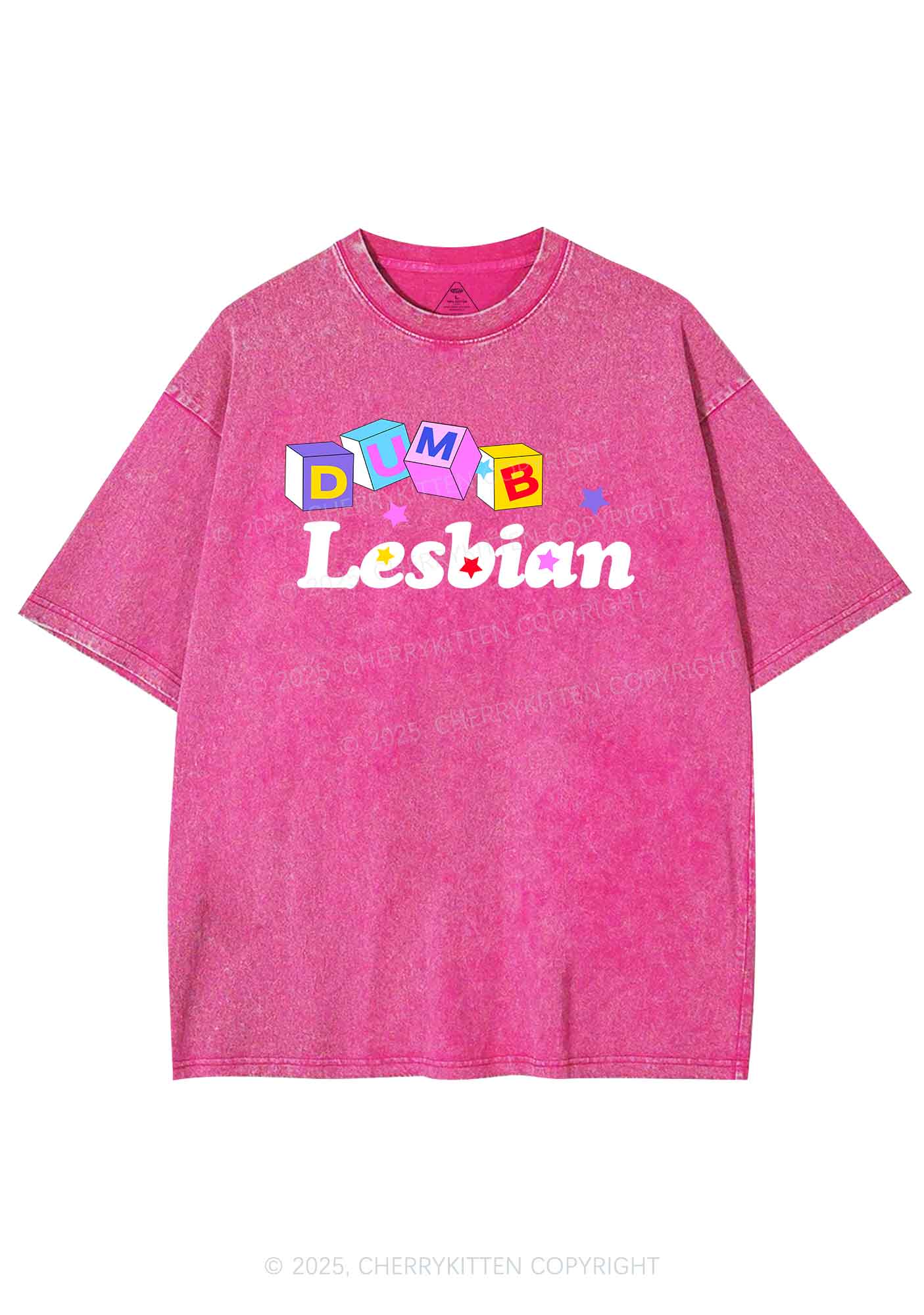 Dumb Lesbian Pride Y2K Shirts Washed Tee Cherrykitten - Image 4
