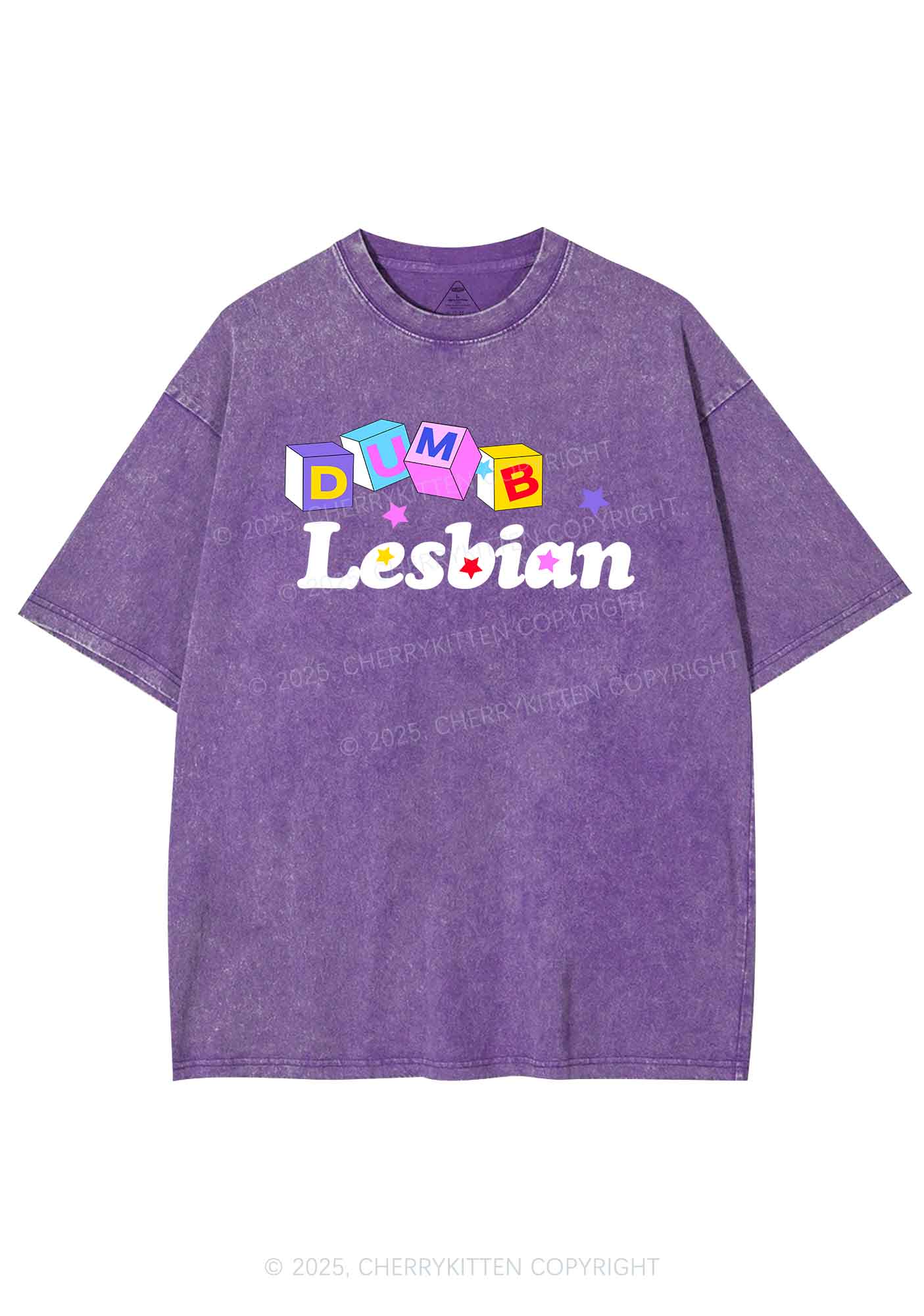 Dumb Lesbian Pride Y2K Shirts Washed Tee Cherrykitten - Image 5