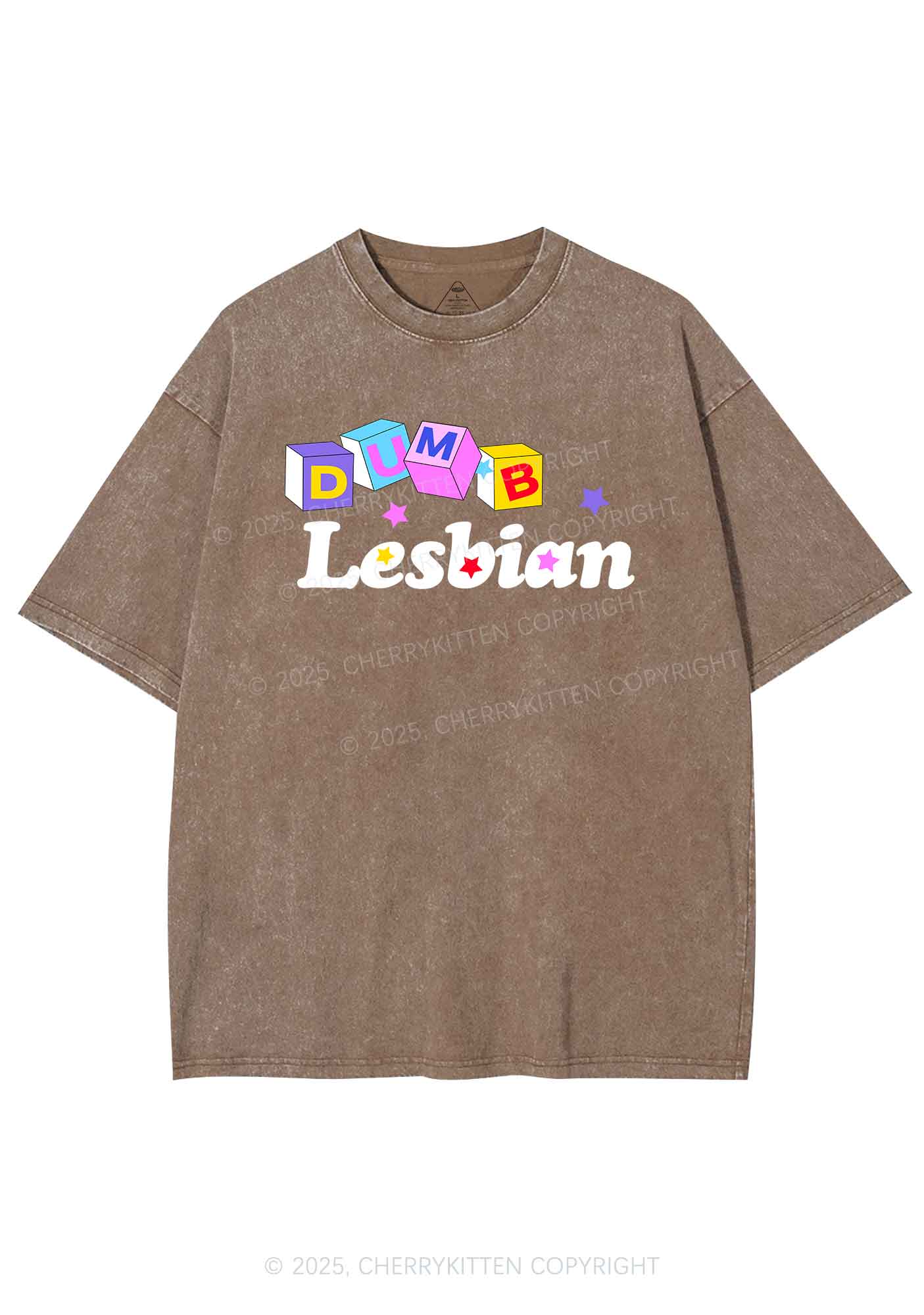 Dumb Lesbian Pride Y2K Shirts Washed Tee Cherrykitten - Image 6