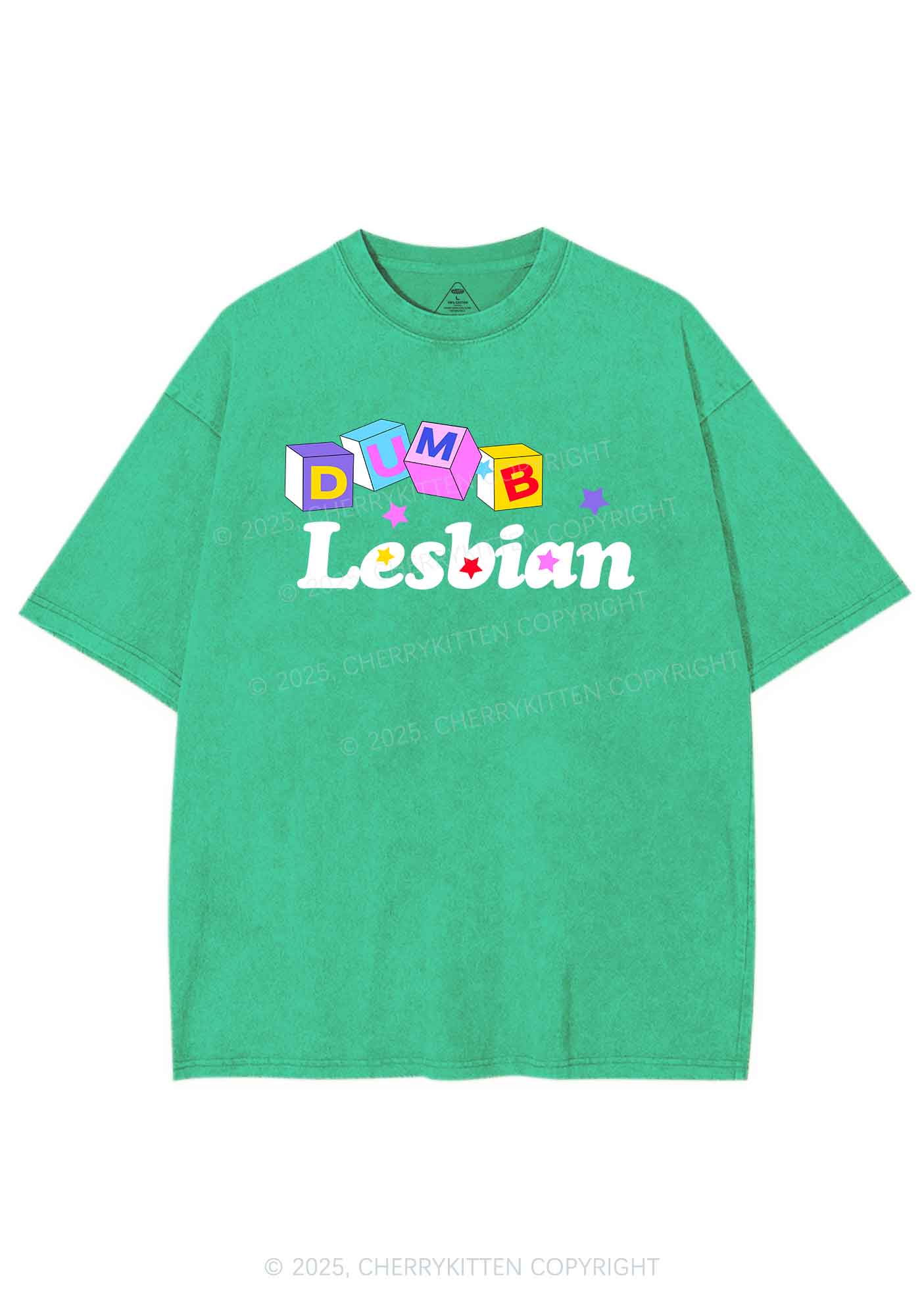 Dumb Lesbian Pride Y2K Shirts Washed Tee Cherrykitten - Image 8