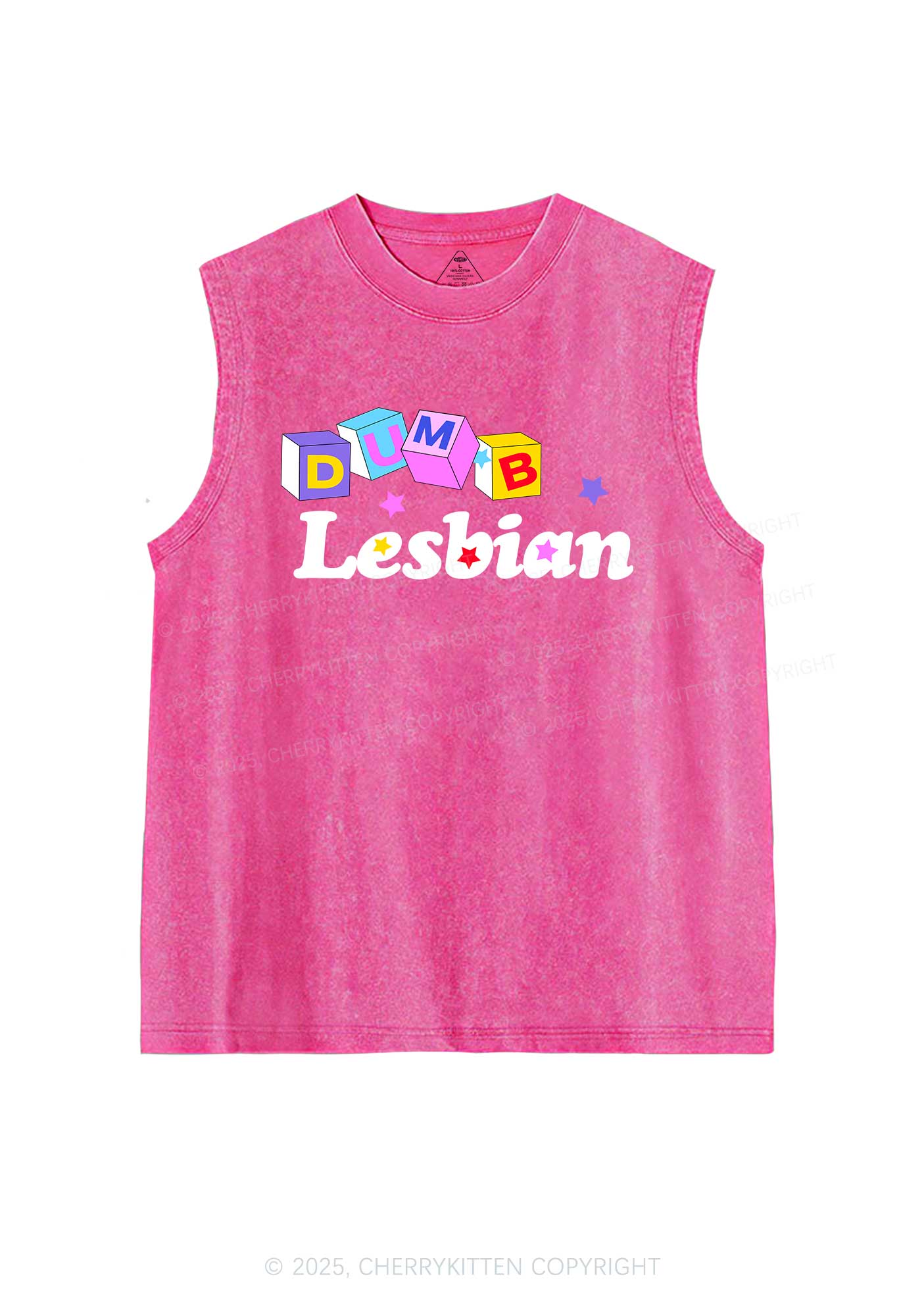 Dumb Lesbian Pride Y2K Washed Muscle Tank Cherrykitten - Image 4