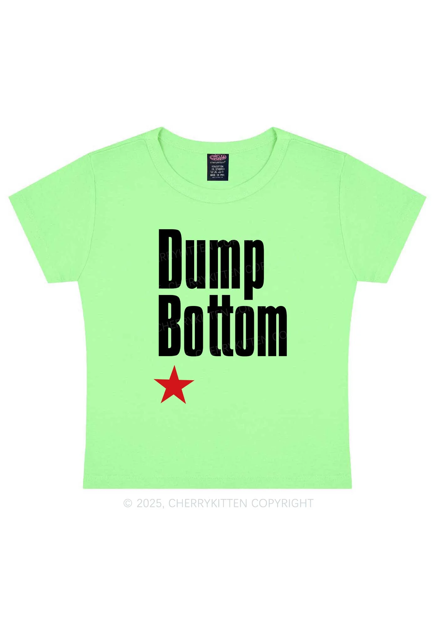 Dump Bottom Pride Y2K Baby Tee Cherrykitten - Image 13