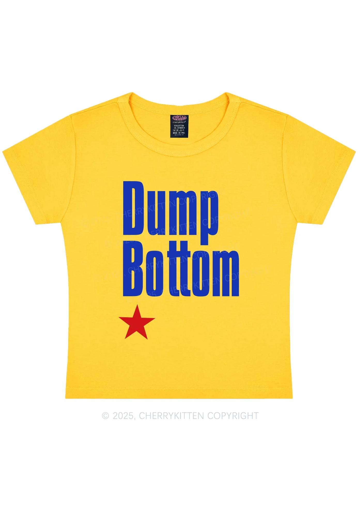 Dump Bottom Pride Y2K Baby Tee Cherrykitten - Image 5
