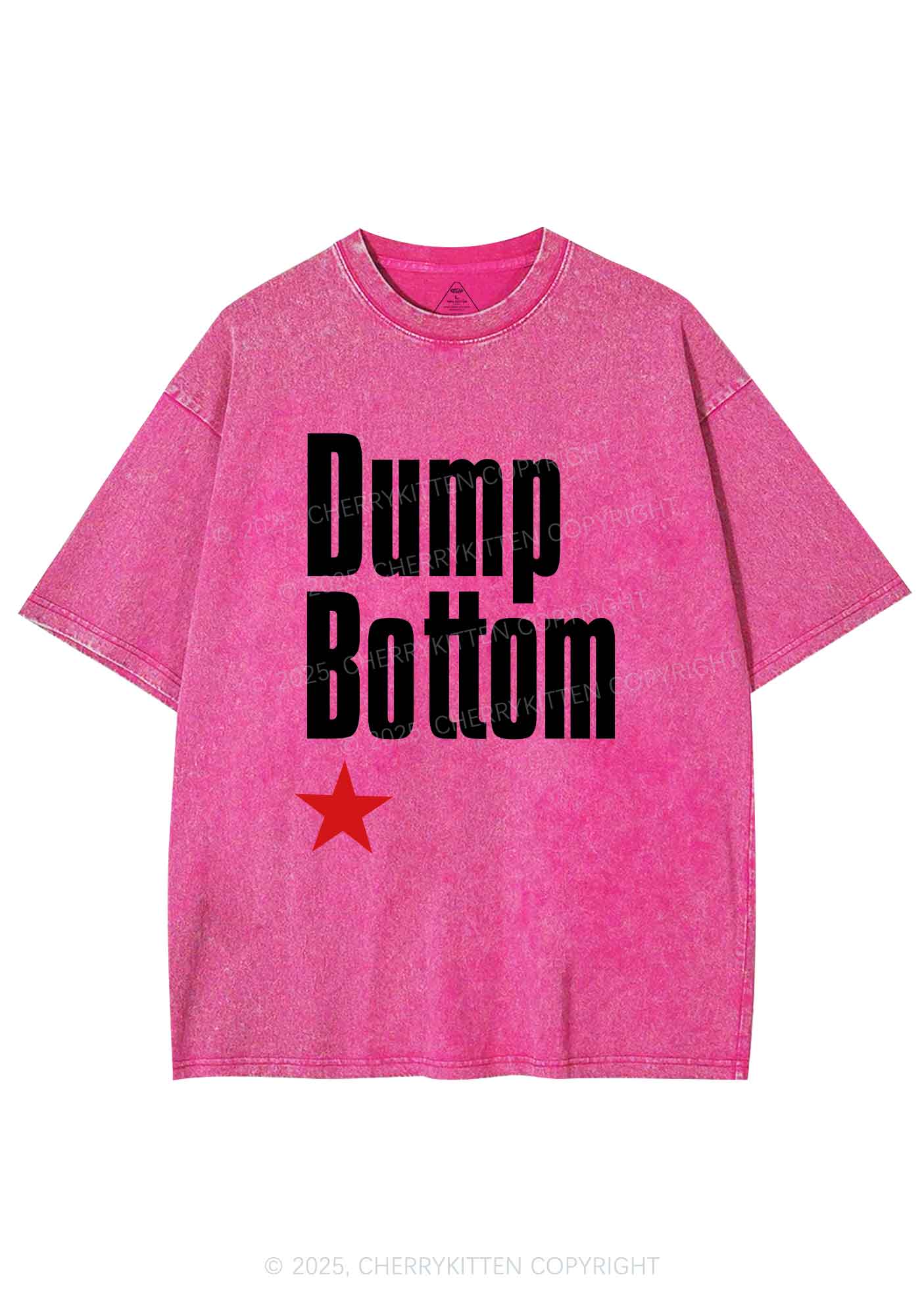 Dump Bottom Pride Y2K Shirts Washed Tee Cherrykitten - Image 3