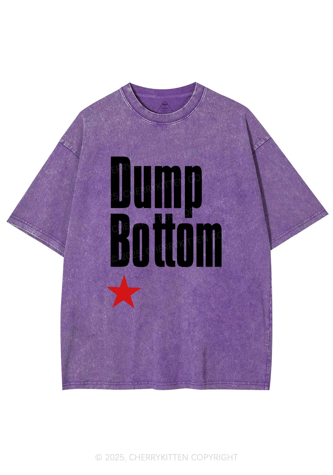 Dump Bottom Pride Y2K Shirts Washed Tee Cherrykitten - Image 4