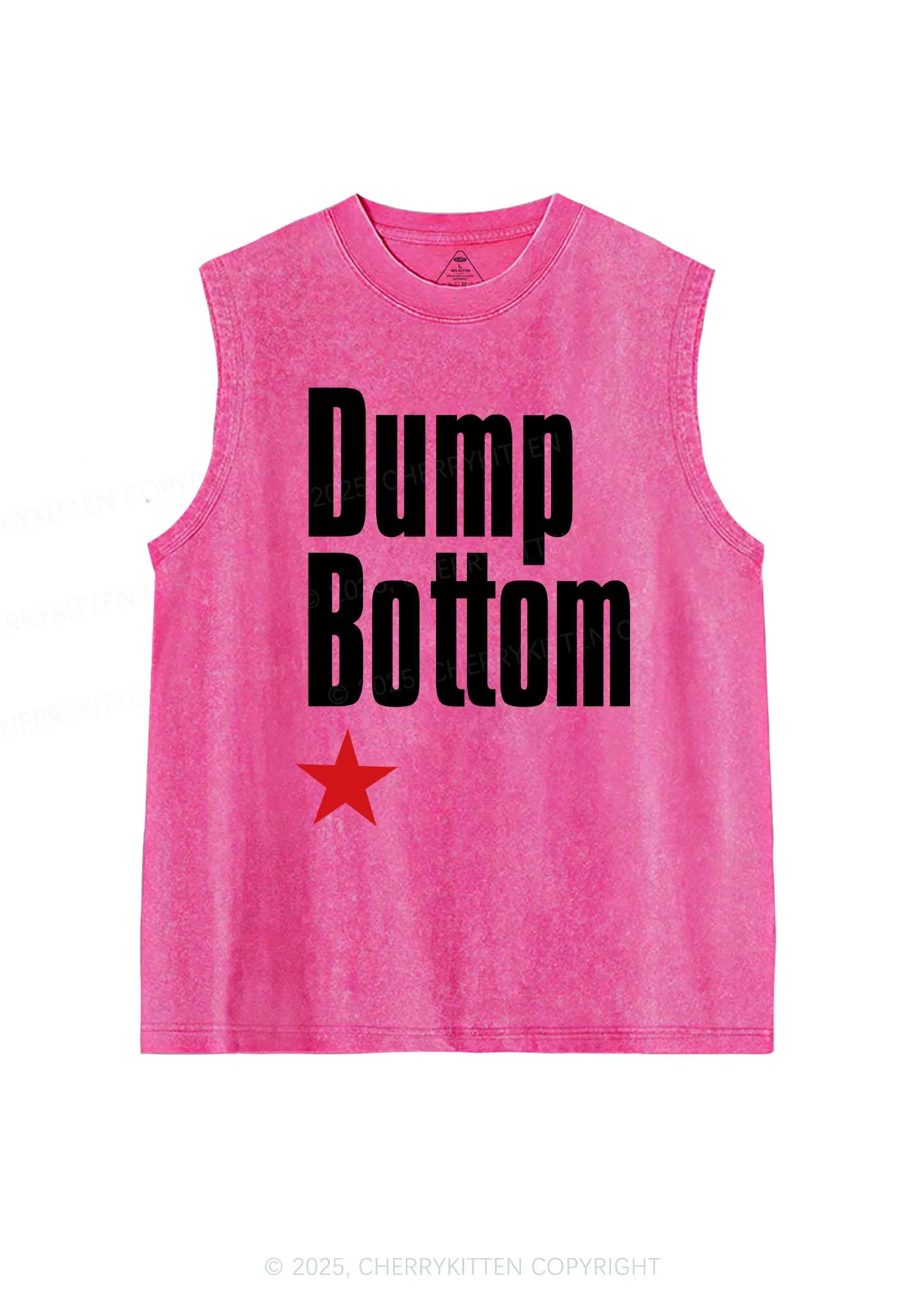Dump Bottom Pride Y2K Washed Muscle Tank Cherrykitten - Image 3