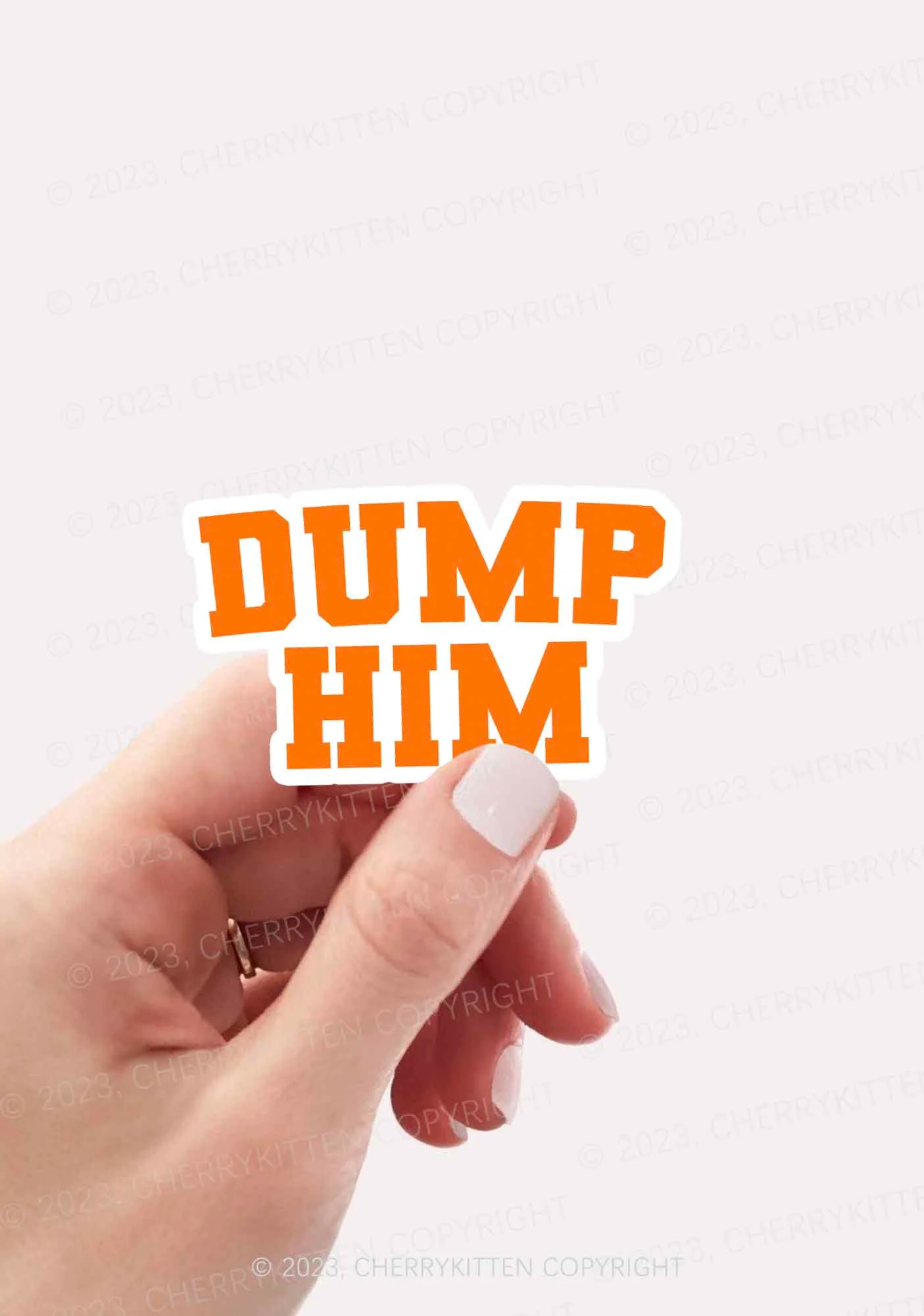 Dump Him 1Pc Y2K Sticker Cherrykitten - Image 2