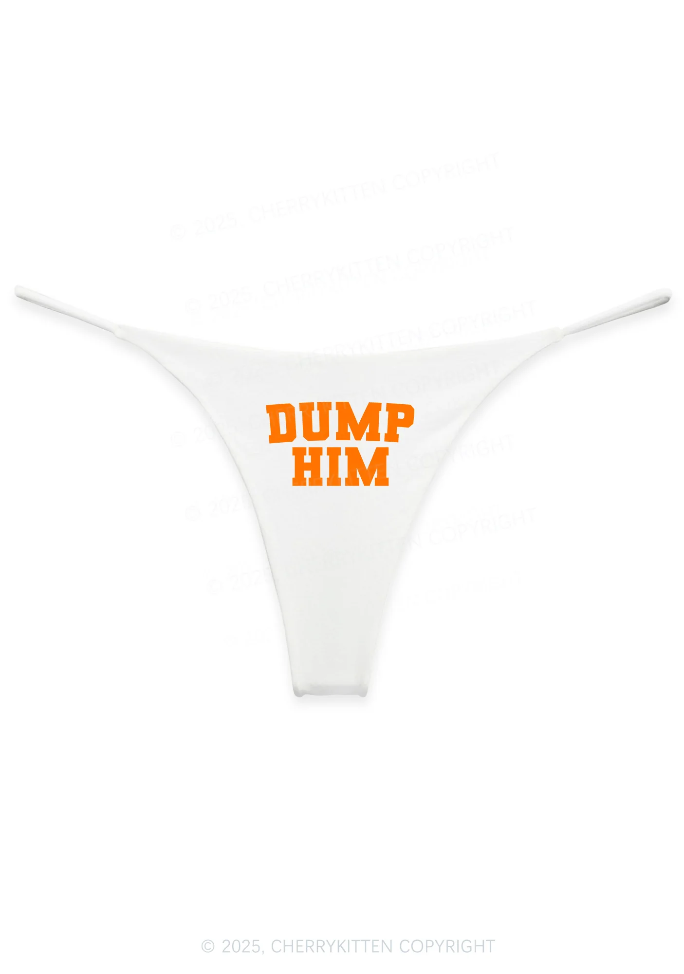 Dump Him Y2K Bikini String Thong Cherrykitten - Image 4