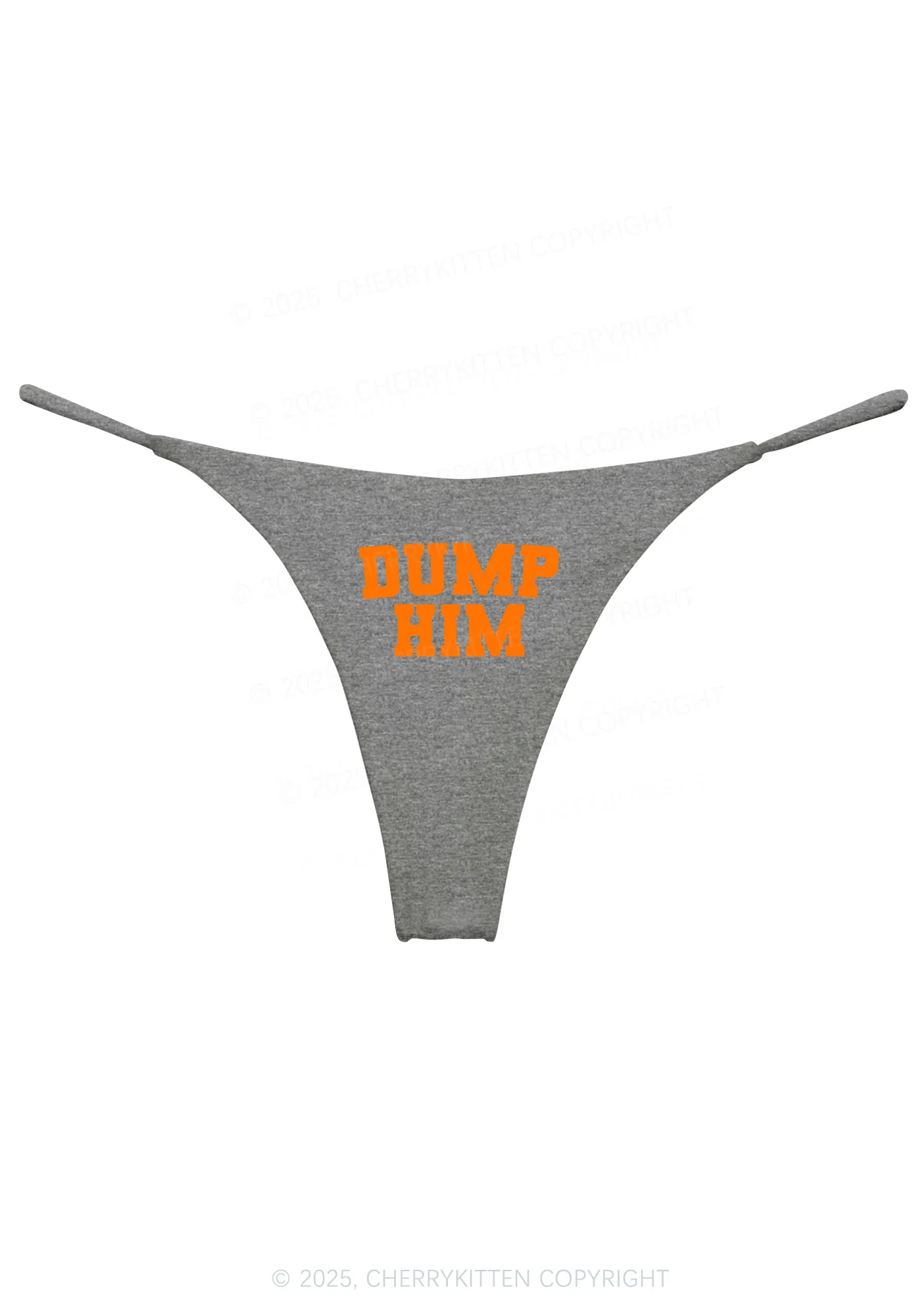 Dump Him Y2K Bikini String Thong Cherrykitten - Image 9