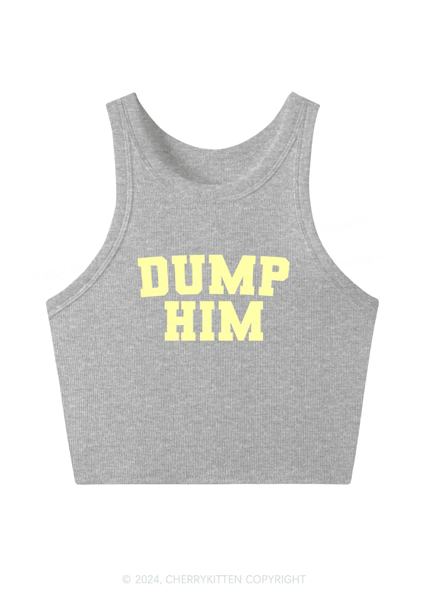 Dump Him Y2K Crop Tank Top Cherrykitten - Image 4