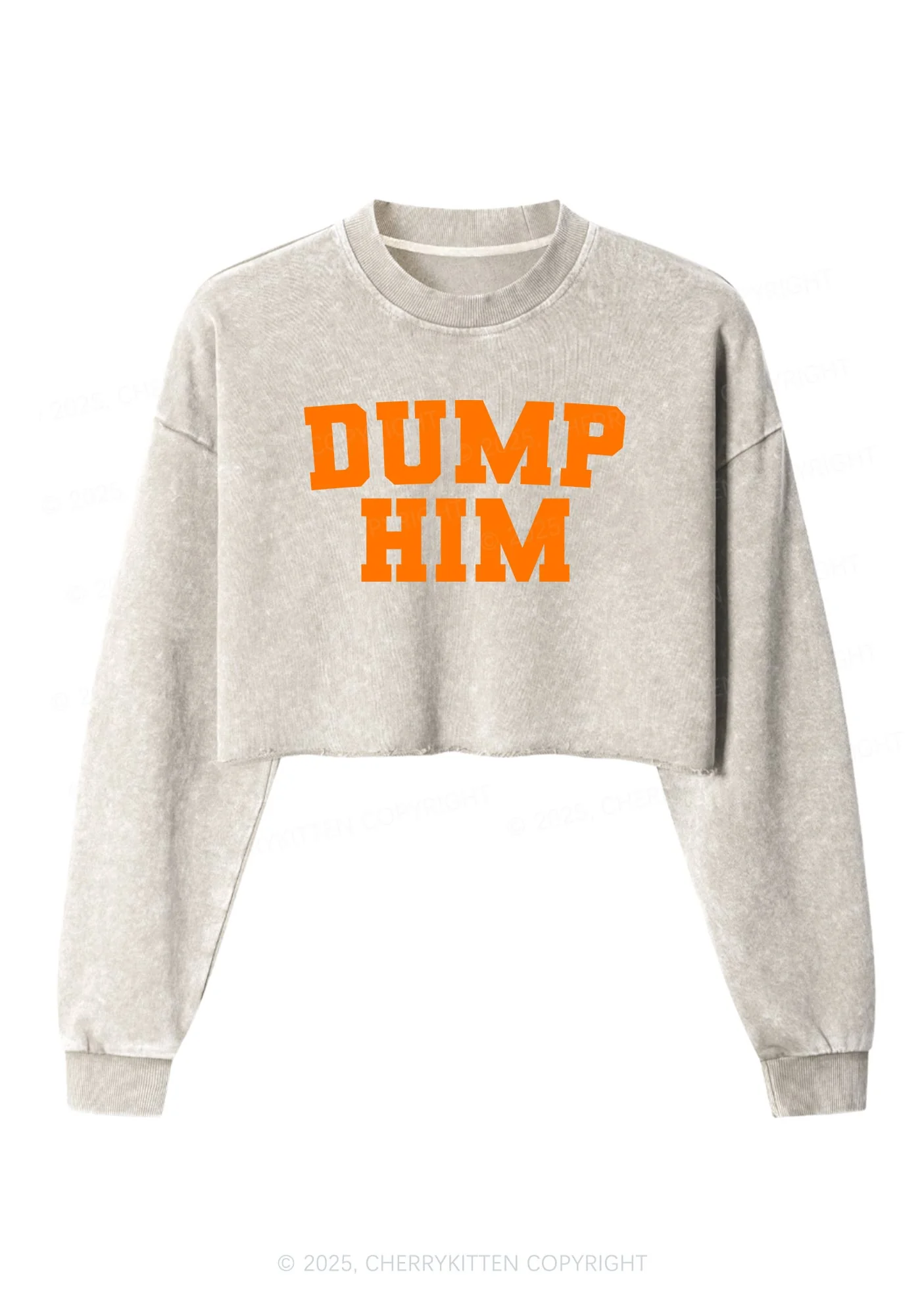 Dump Him Y2K Crop Washed Sweatshirts Cherrykitten - Image 3
