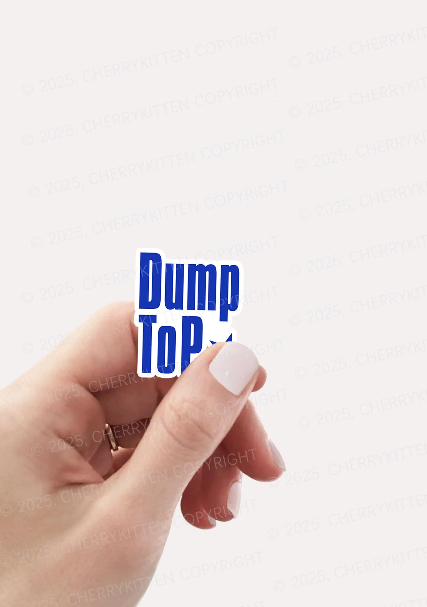 Dump Top Pride 1Pc Y2K Sticker Cherrykitten - Image 2
