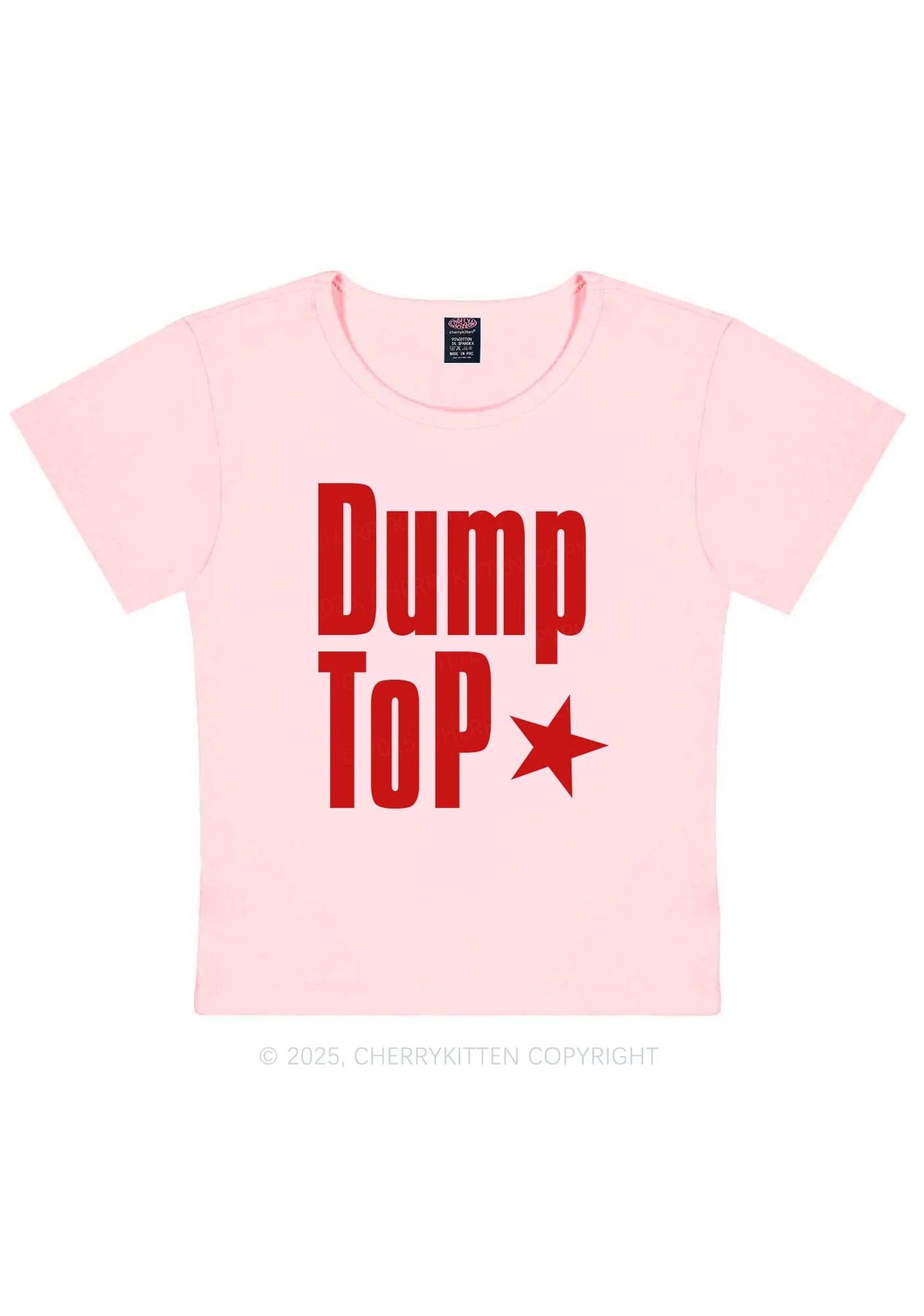 Dump Top Pride Y2K Baby Tee Cherrykitten - Image 11
