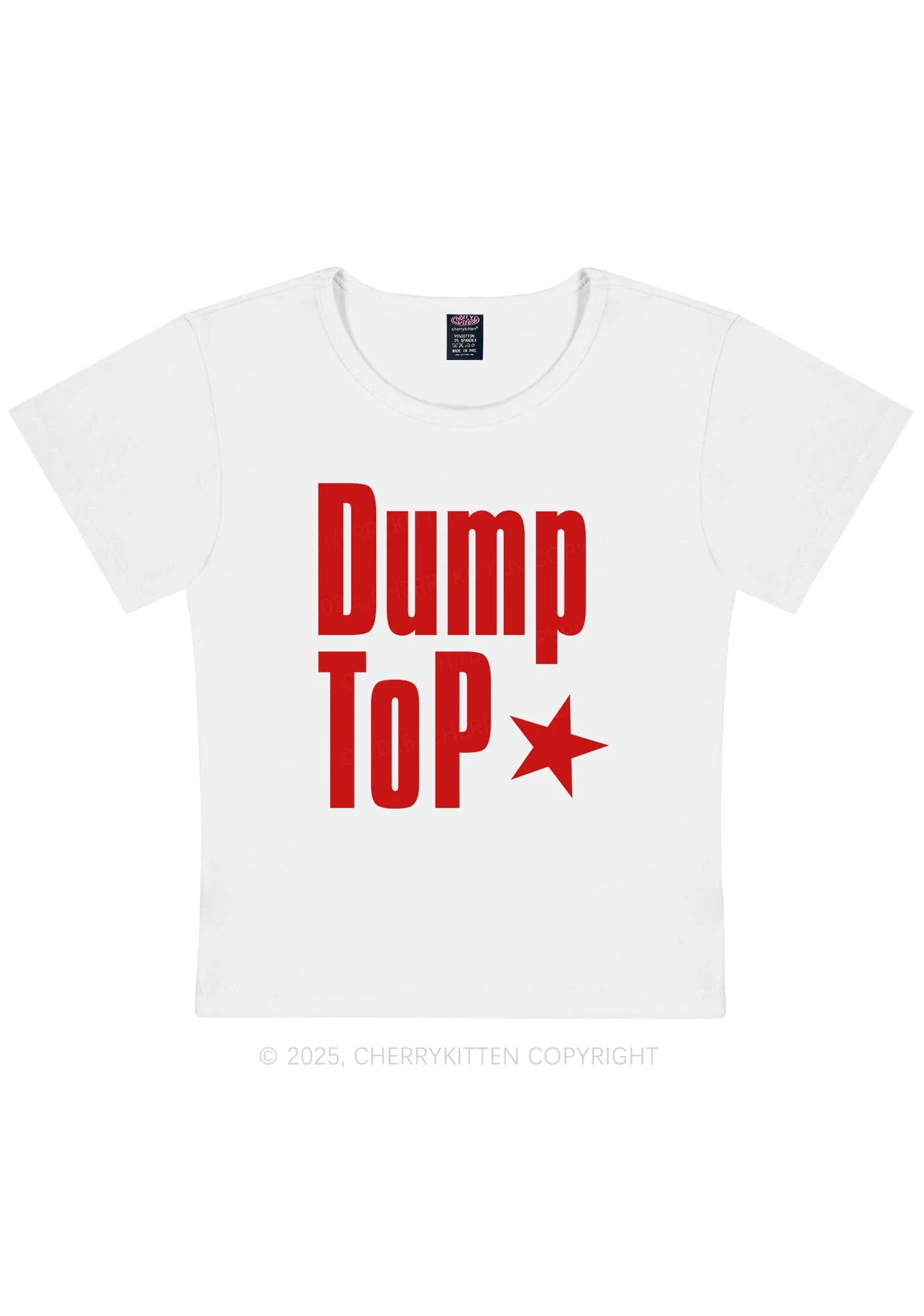 Dump Top Pride Y2K Baby Tee Cherrykitten - Image 5