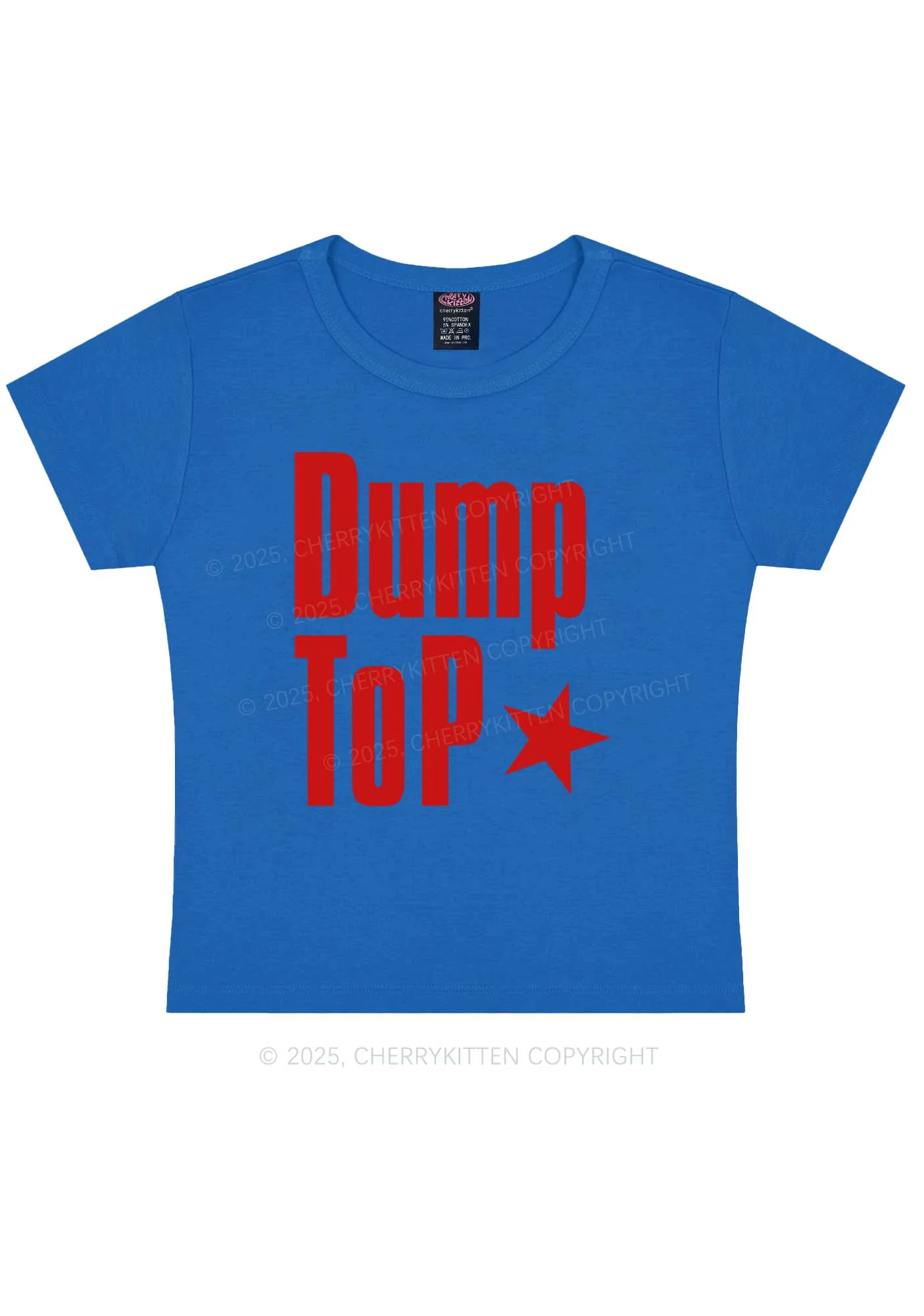 Dump Top Pride Y2K Baby Tee Cherrykitten - Image 9