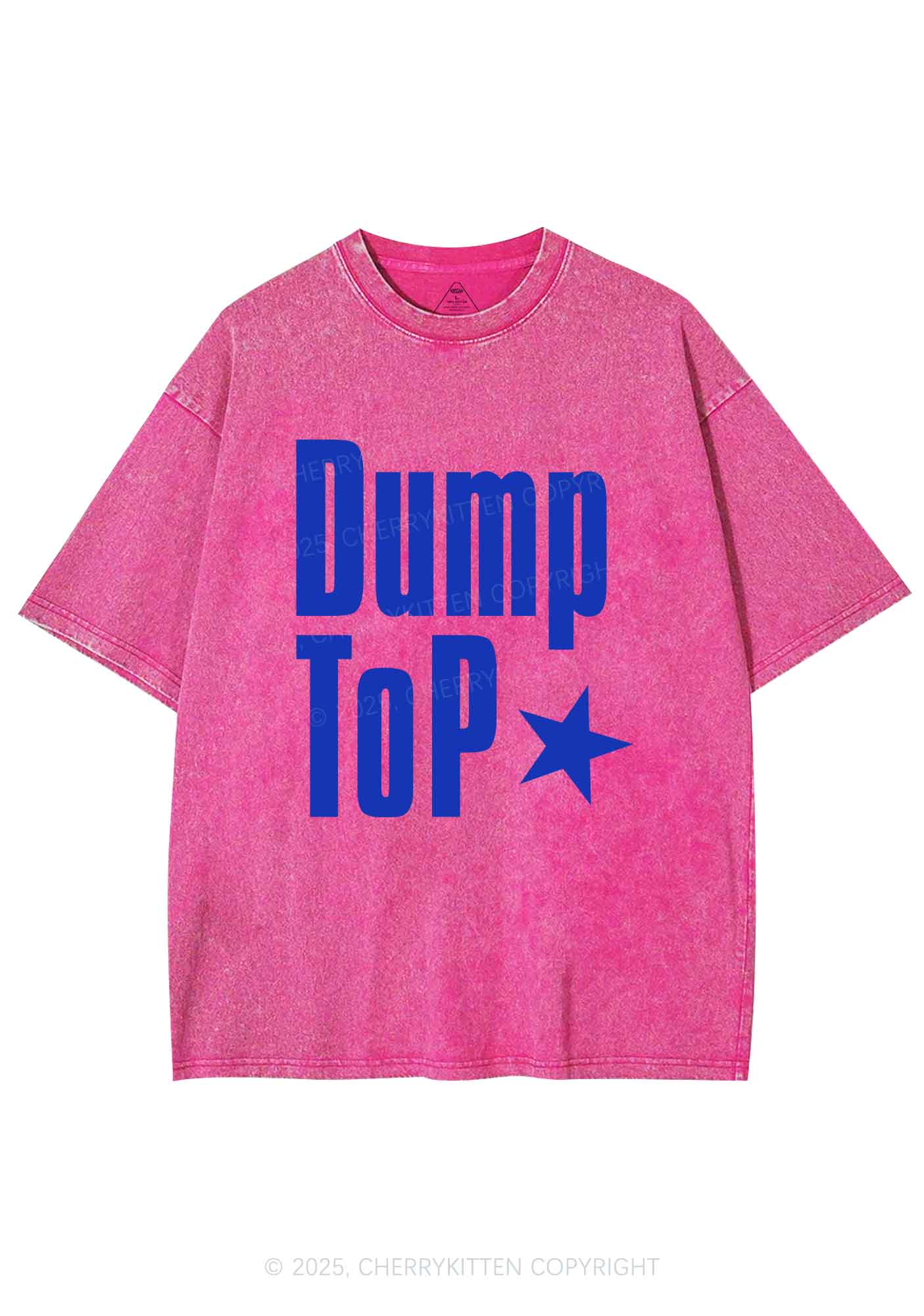 Dump Top Pride Y2K Shirts Washed Tee Cherrykitten - Image 4