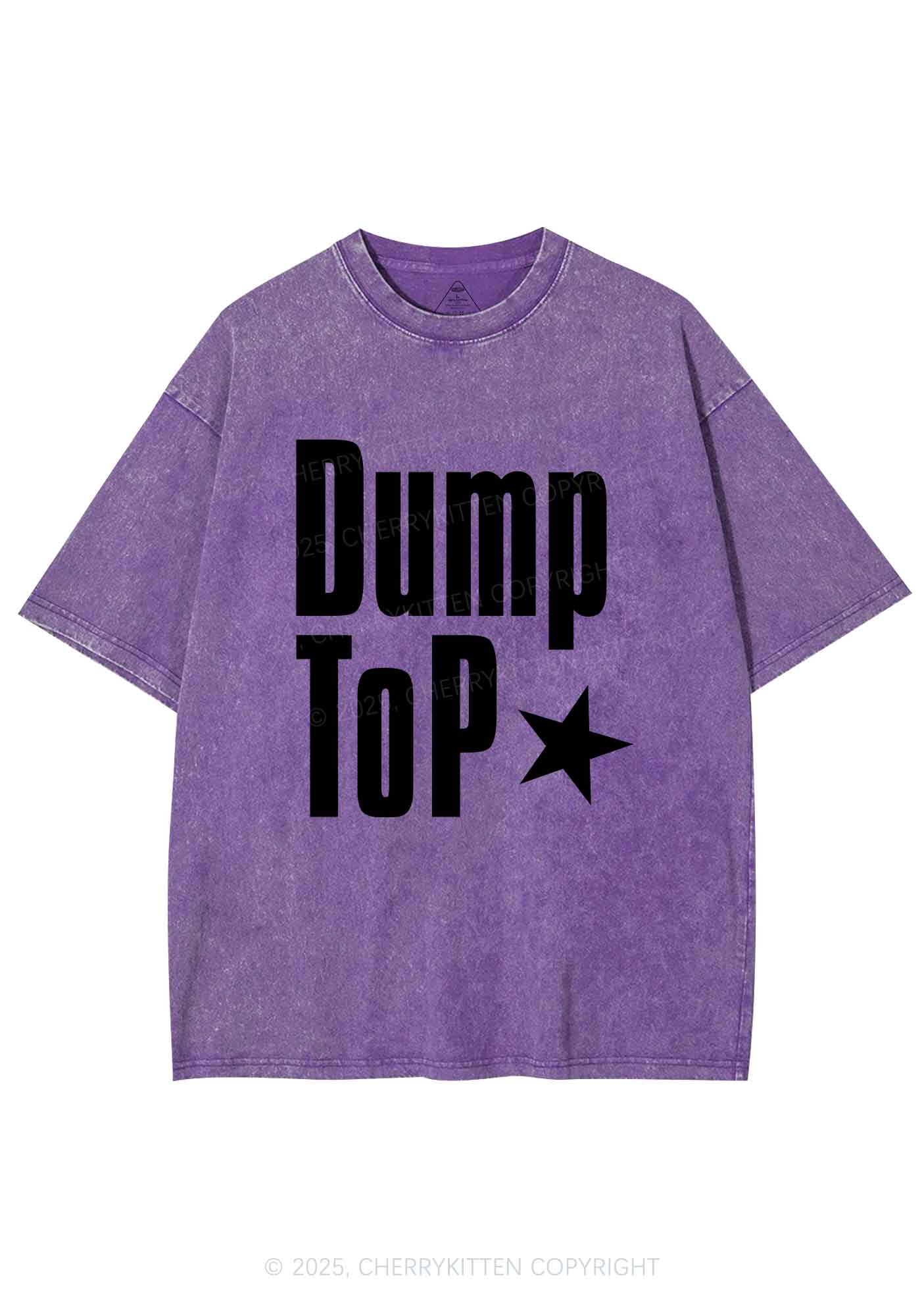 Dump Top Pride Y2K Shirts Washed Tee Cherrykitten - Image 5