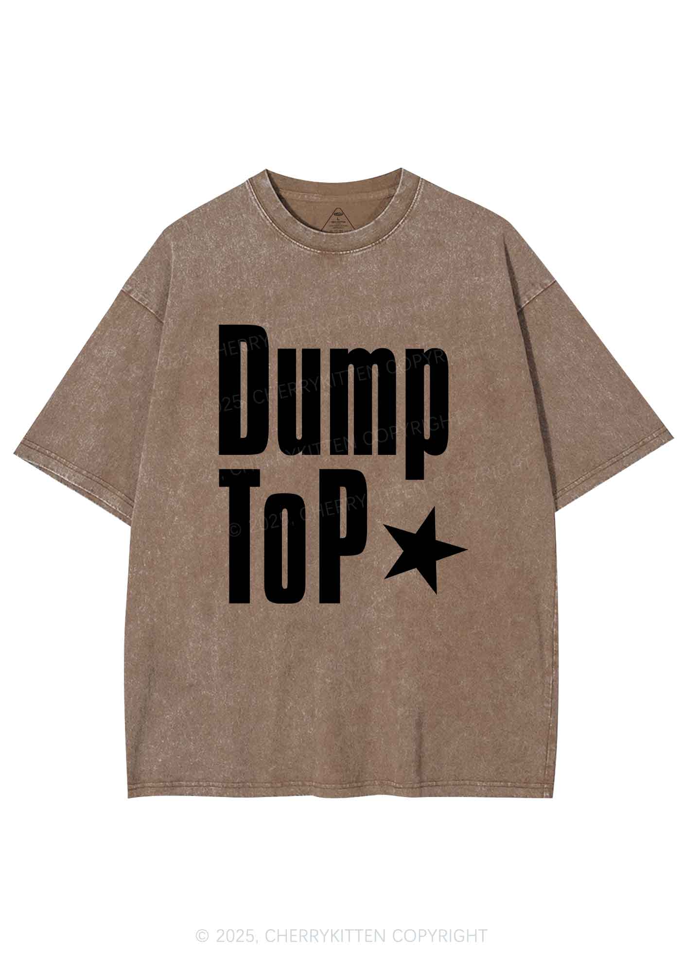 Dump Top Pride Y2K Shirts Washed Tee Cherrykitten - Image 8