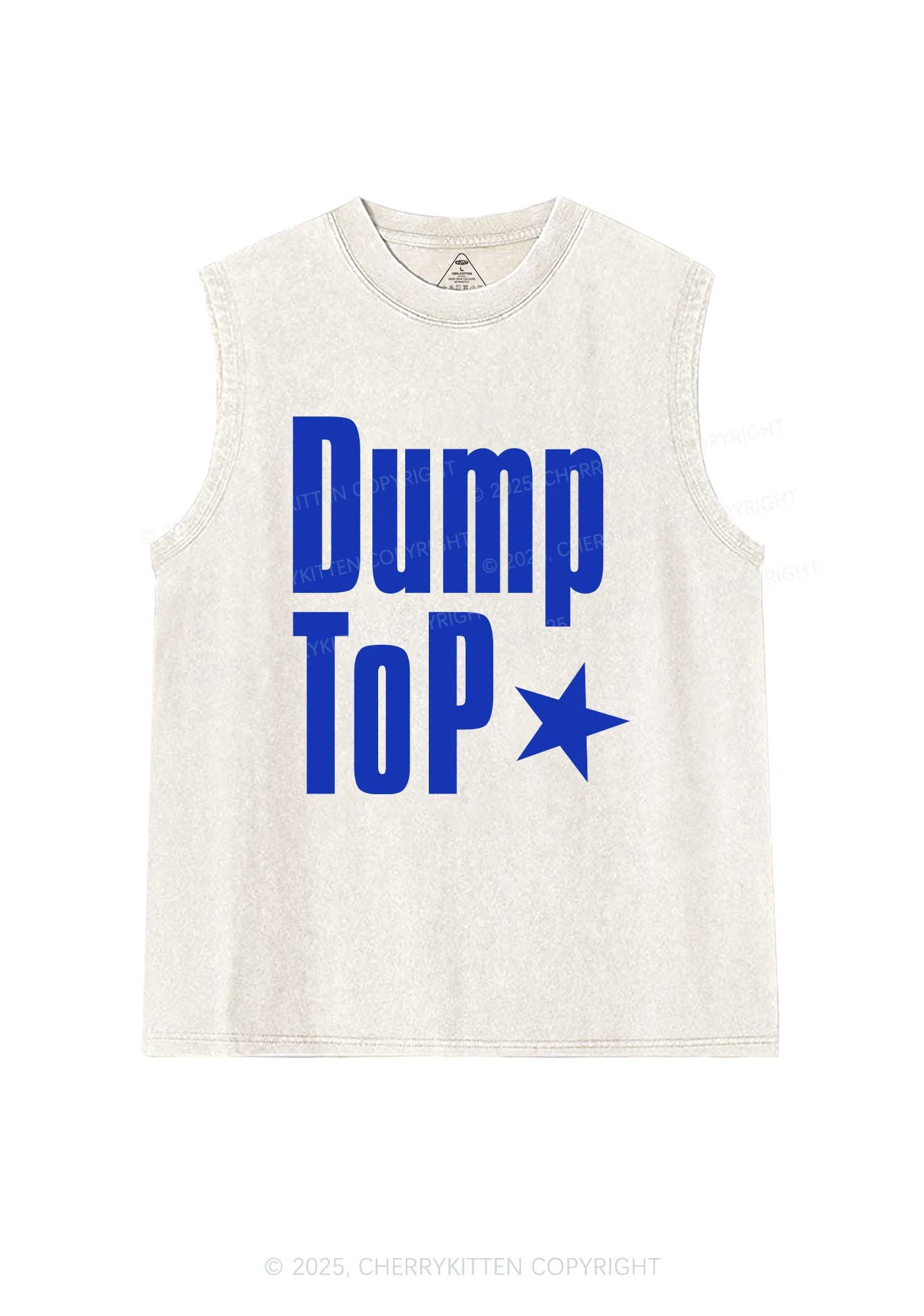 Dump Top Pride Y2K Washed Muscle Tank Cherrykitten - Image 3