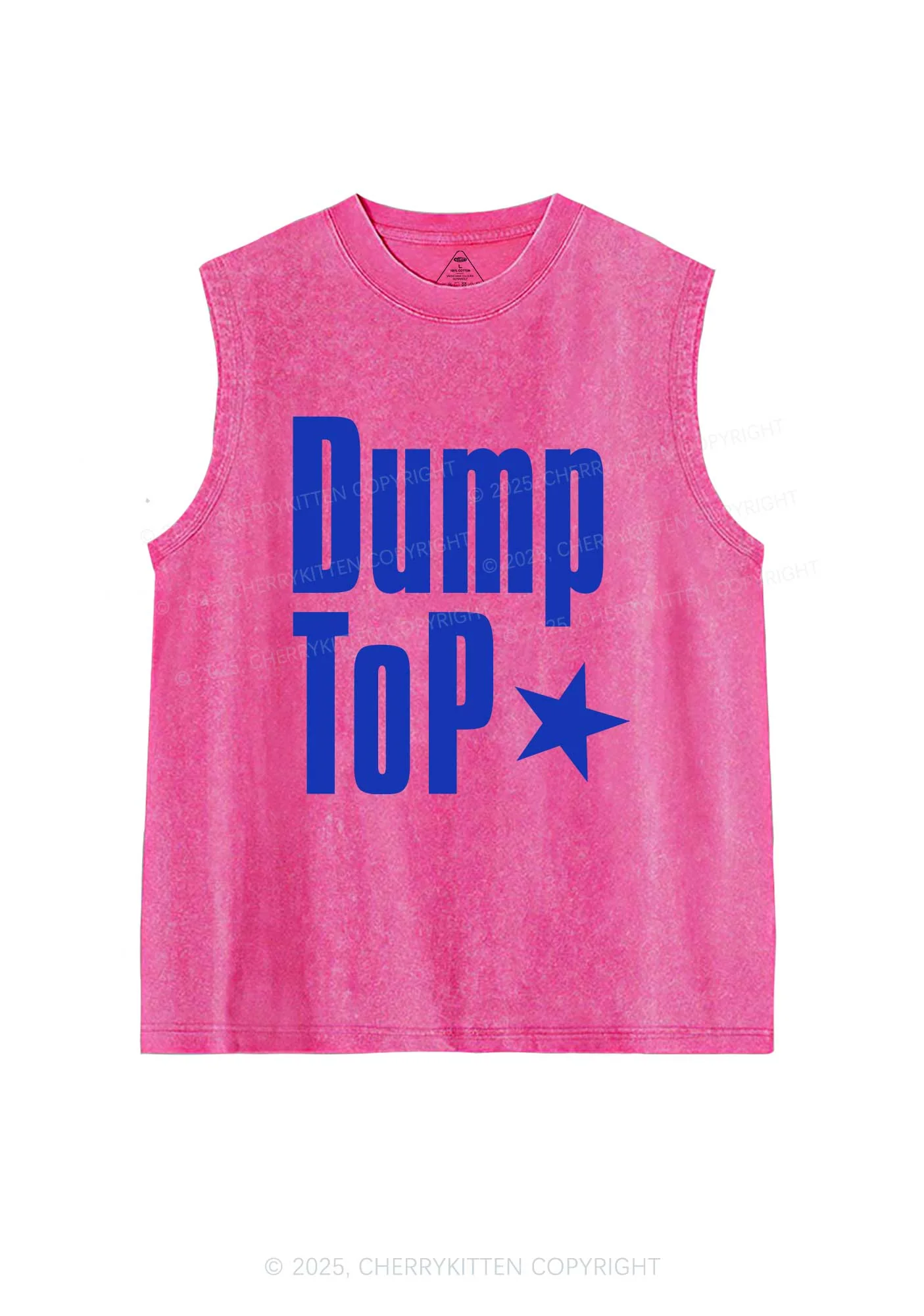 Dump Top Pride Y2K Washed Muscle Tank Cherrykitten - Image 4
