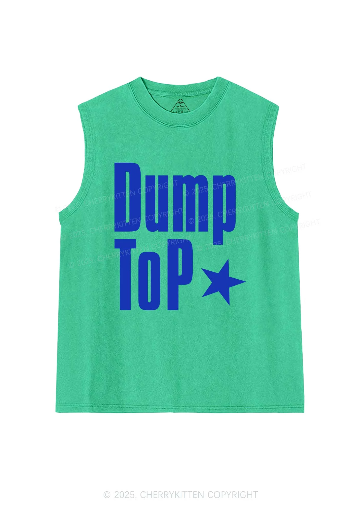 Dump Top Pride Y2K Washed Muscle Tank Cherrykitten - Image 5