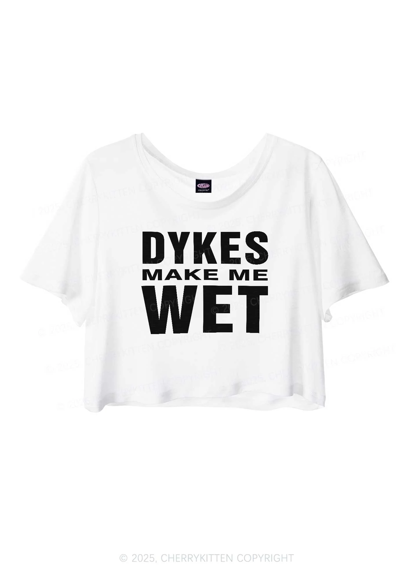 Dykes Make Me Wet Pride Y2K Sheer Crop Tee Cherrykitten - Image 2