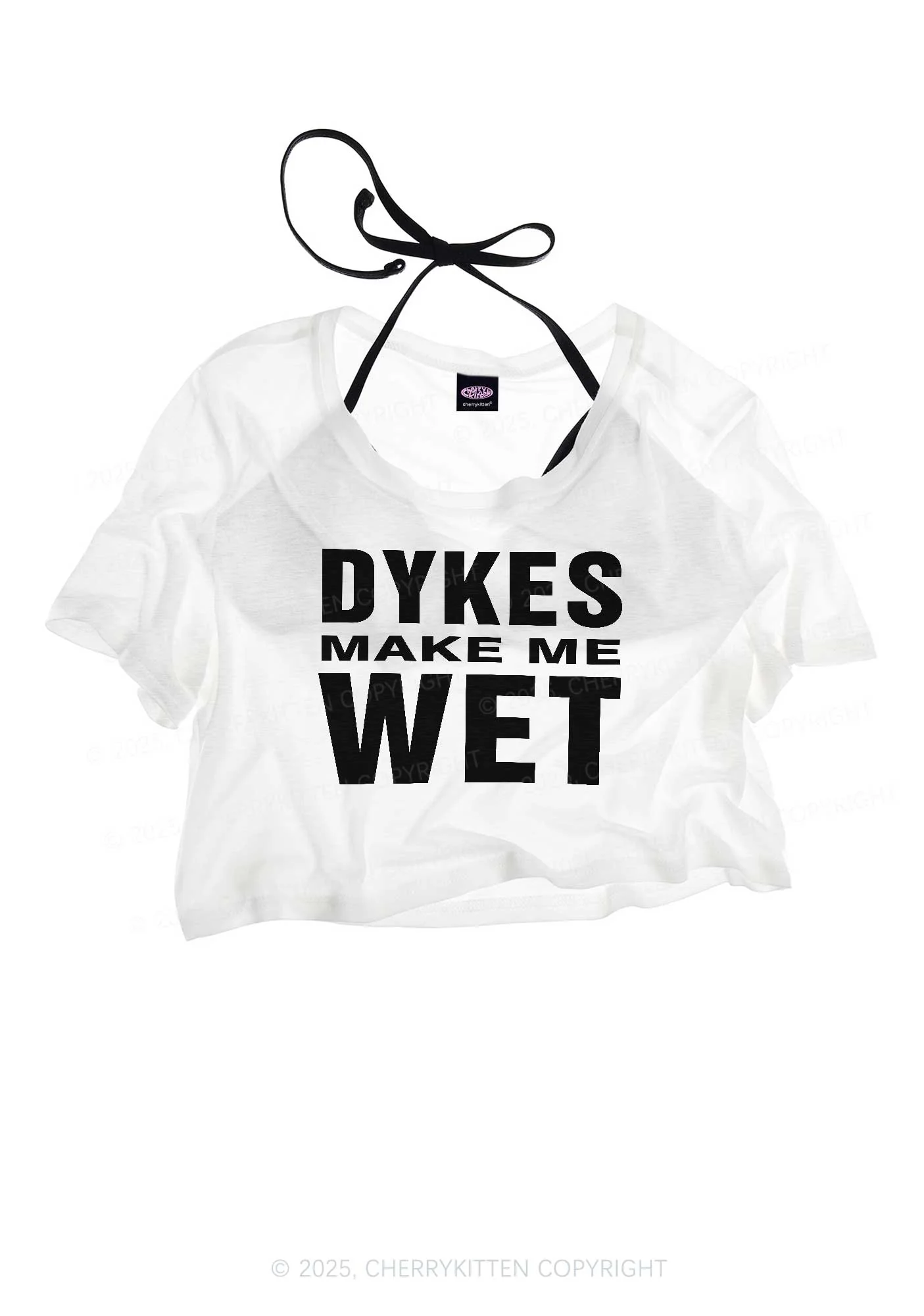 Dykes Make Me Wet Pride Y2K Sheer Crop Tee Cherrykitten - Image 3