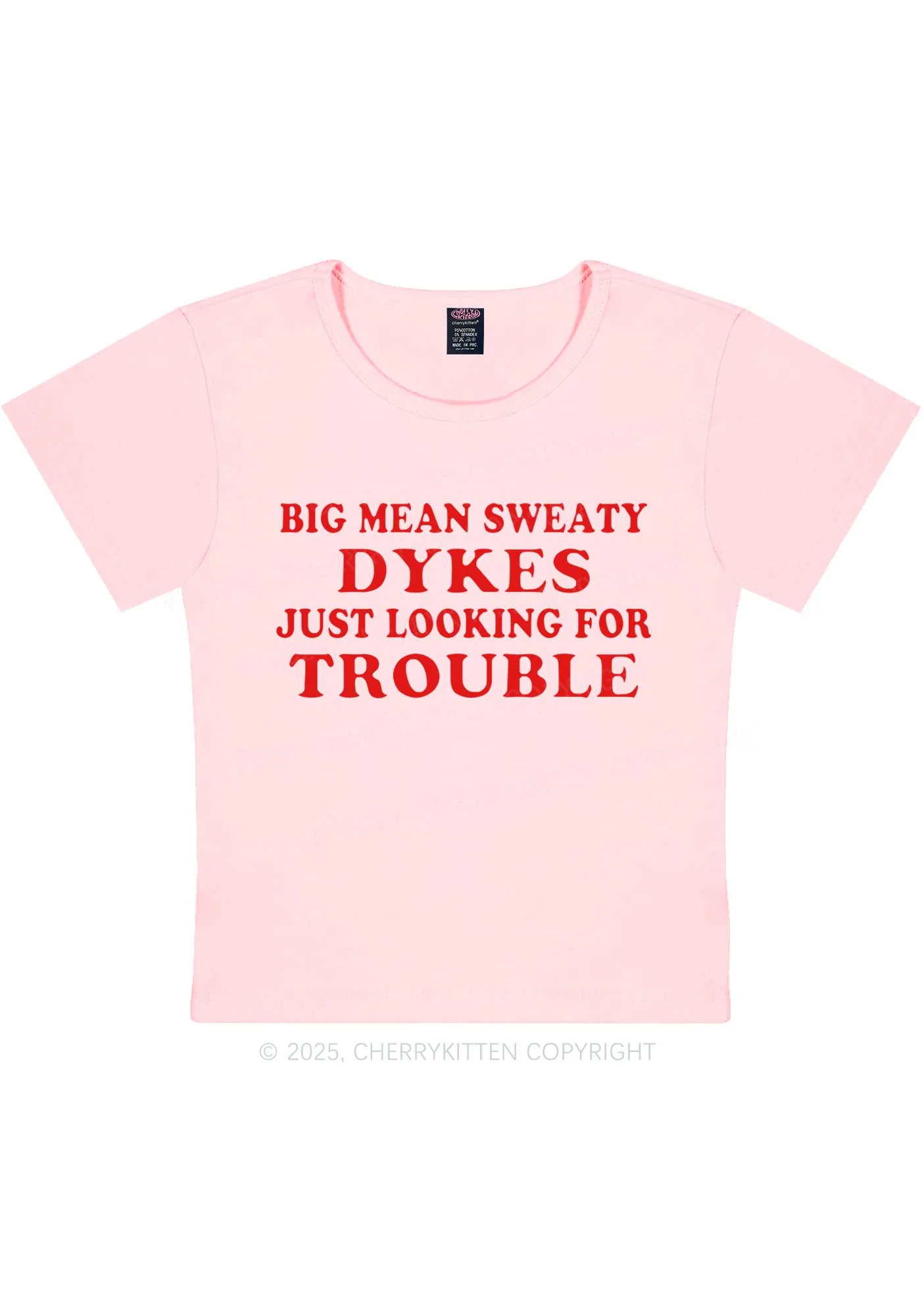 Dykes Trouble Y2K Baby Tee Cherrykitten - Image 11