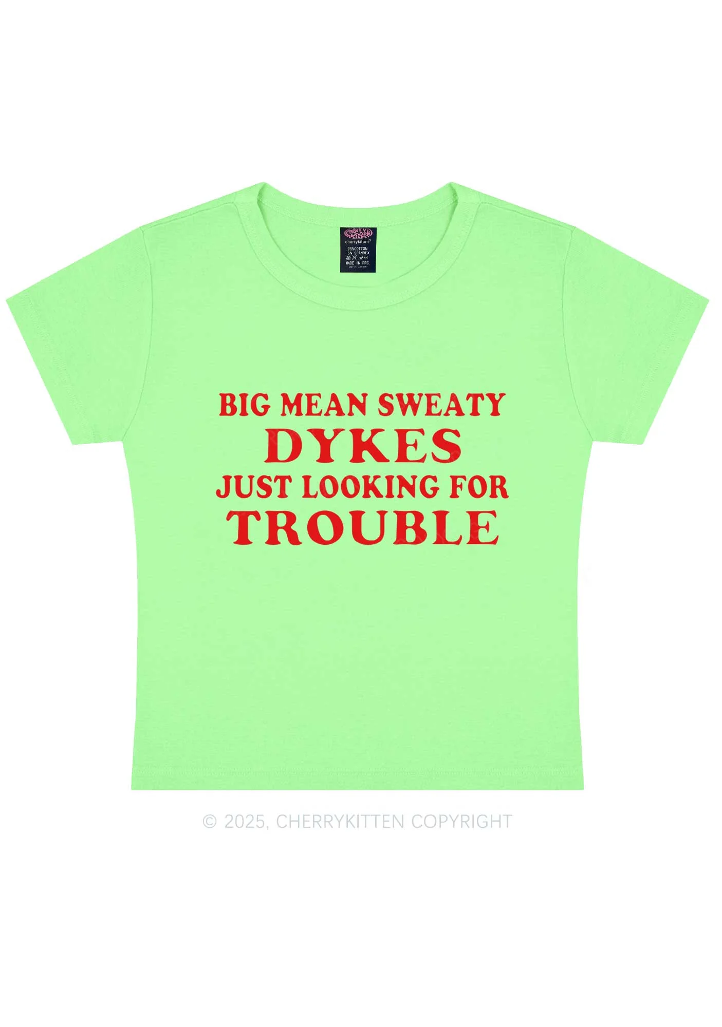 Dykes Trouble Y2K Baby Tee Cherrykitten - Image 12