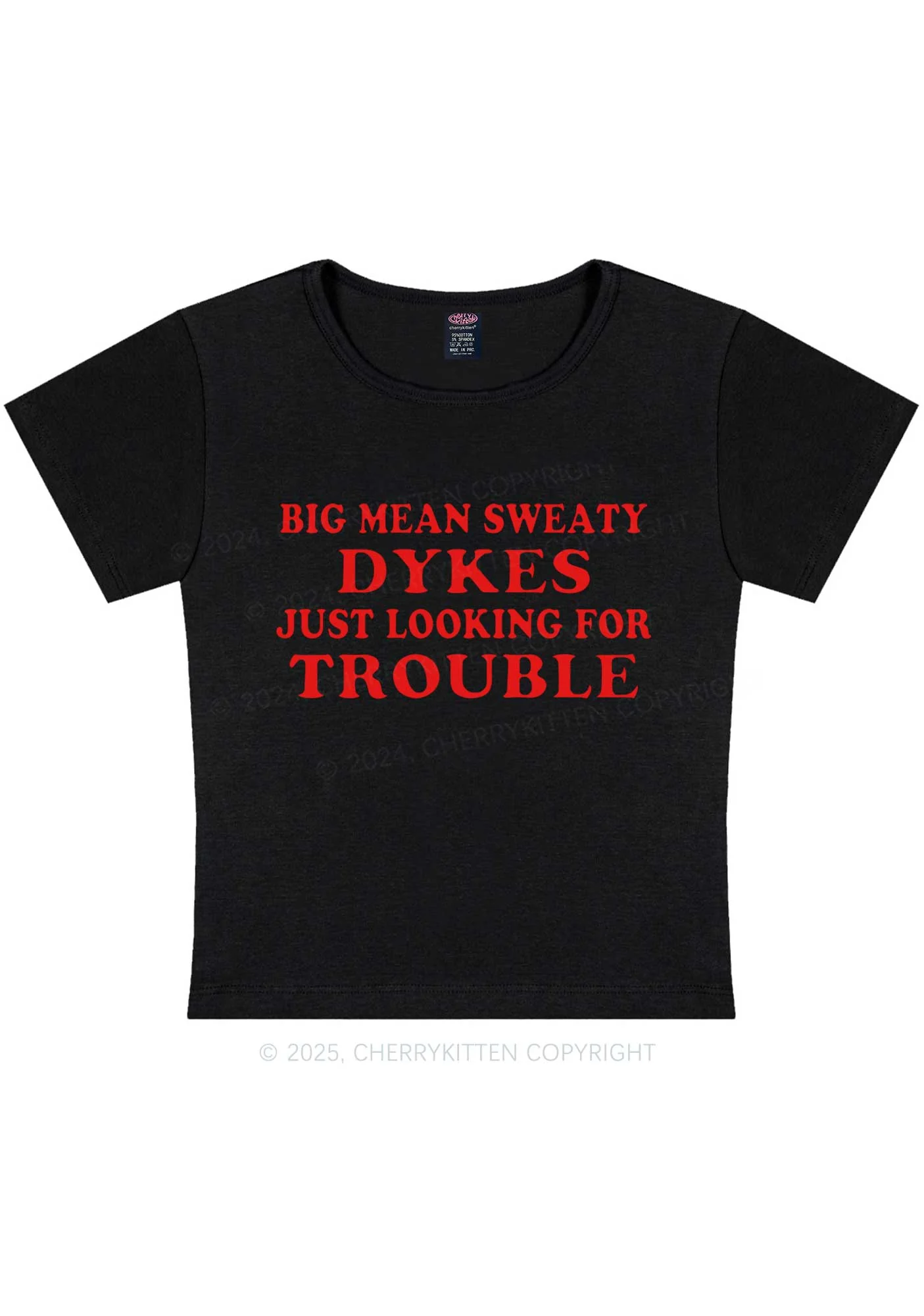 Dykes Trouble Y2K Baby Tee Cherrykitten - Image 3