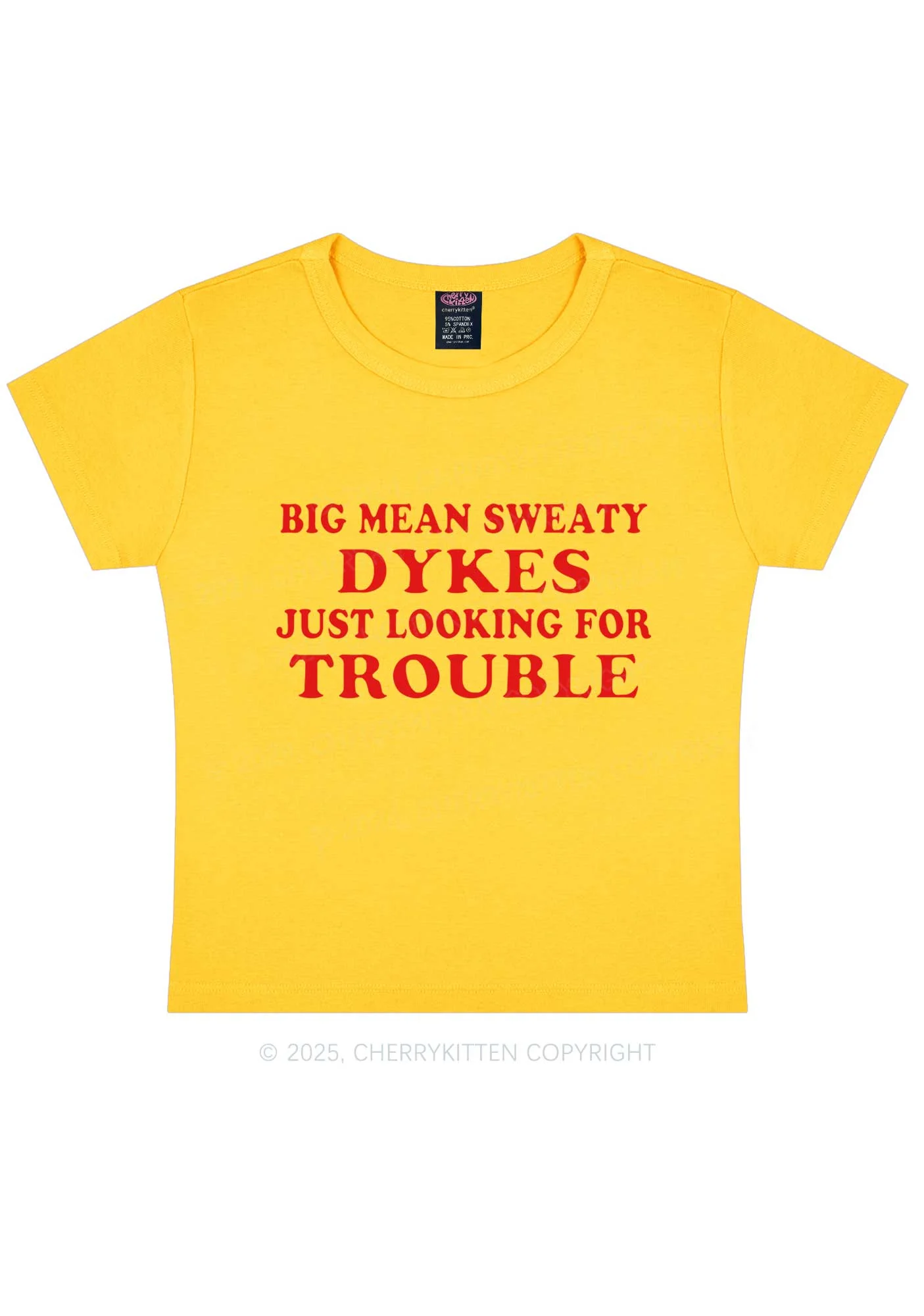Dykes Trouble Y2K Baby Tee Cherrykitten - Image 4
