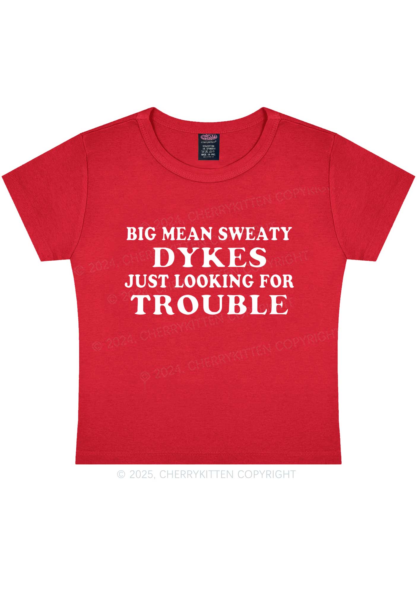 Dykes Trouble Y2K Baby Tee Cherrykitten - Image 5