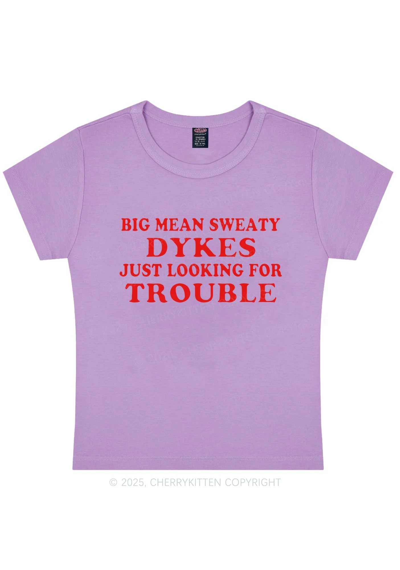 Dykes Trouble Y2K Baby Tee Cherrykitten - Image 6