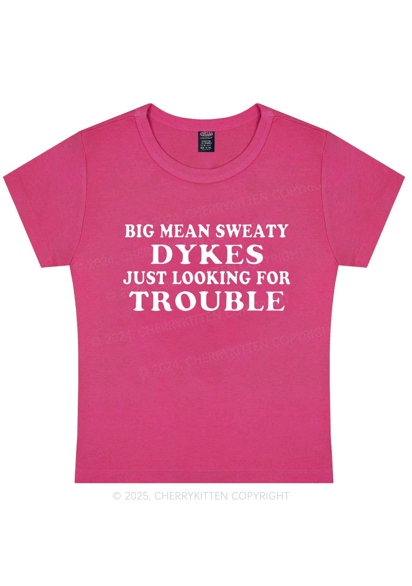 Dykes Trouble Y2K Baby Tee Cherrykitten - Image 7