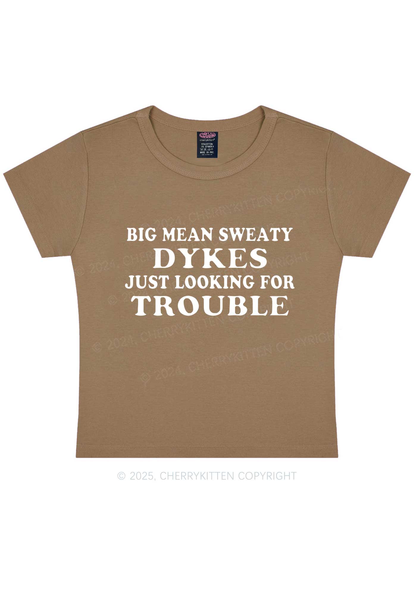 Dykes Trouble Y2K Baby Tee Cherrykitten - Image 9