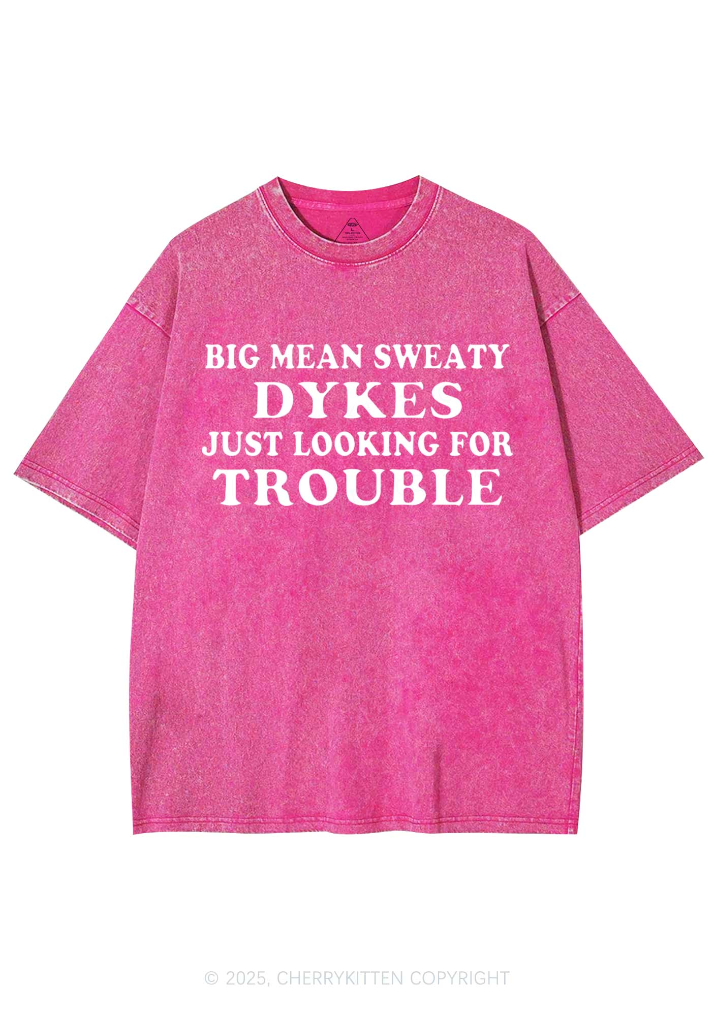 Dykes Trouble Y2K Shirts Washed Tee Cherrykitten - Image 4
